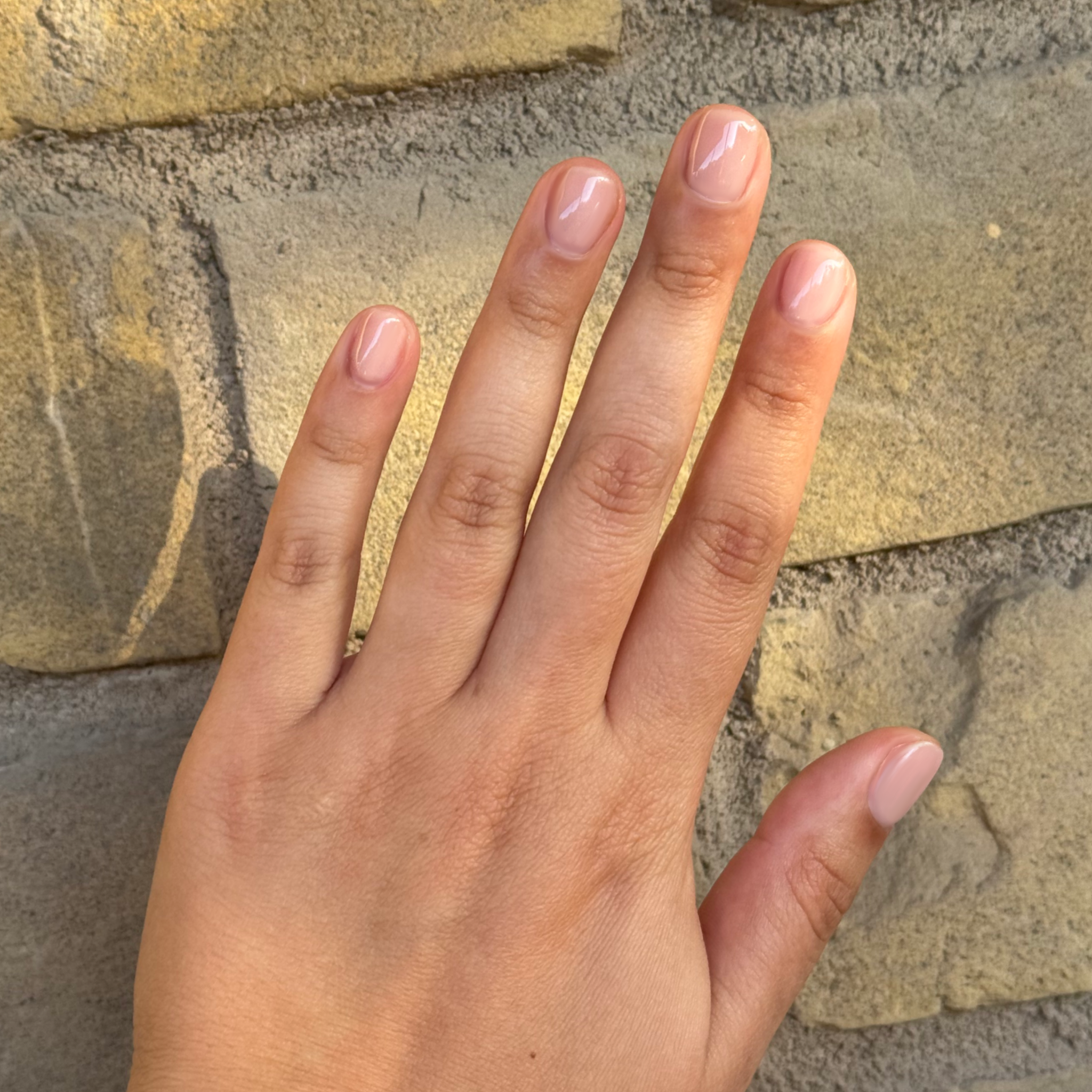 The Queen Takes Her Tea With Milk - Gel、mySite、solidvoid