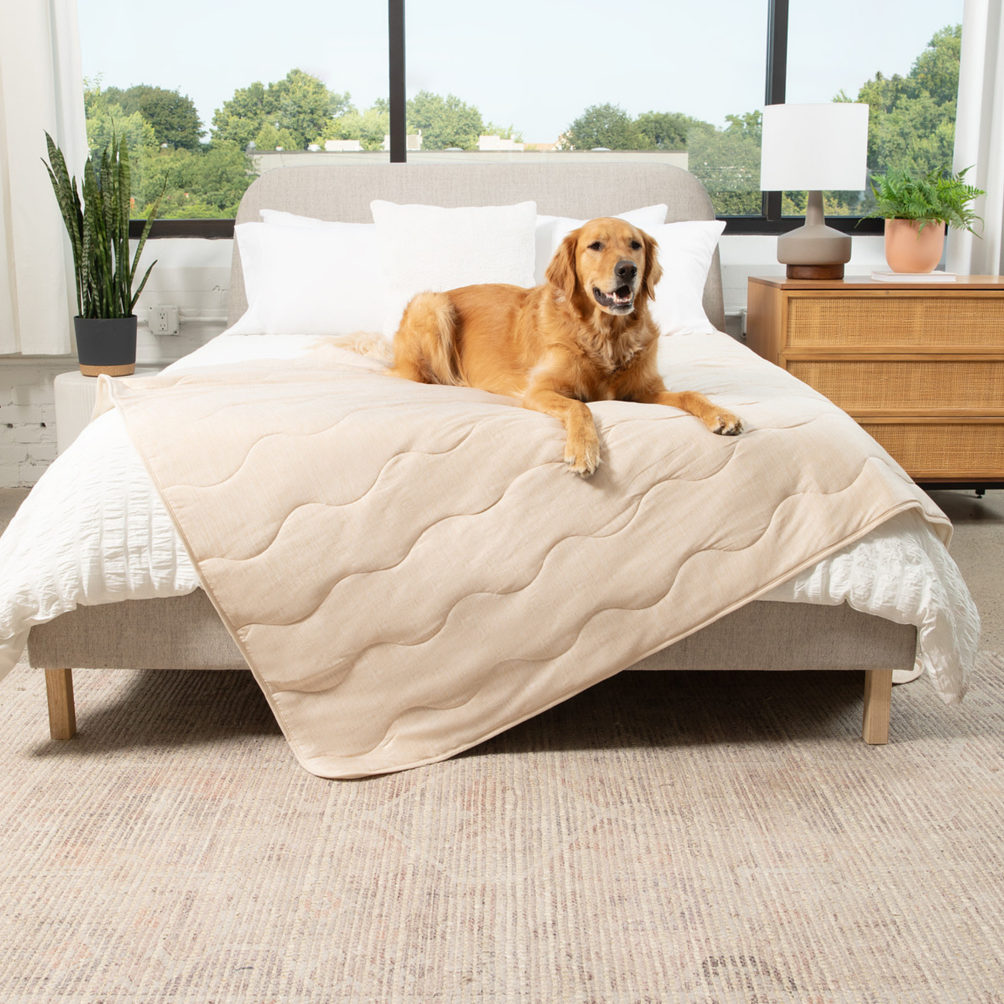 PupChill™ Cooling Waterproof Blanket - Arctic Sand、mySite、solidvoid