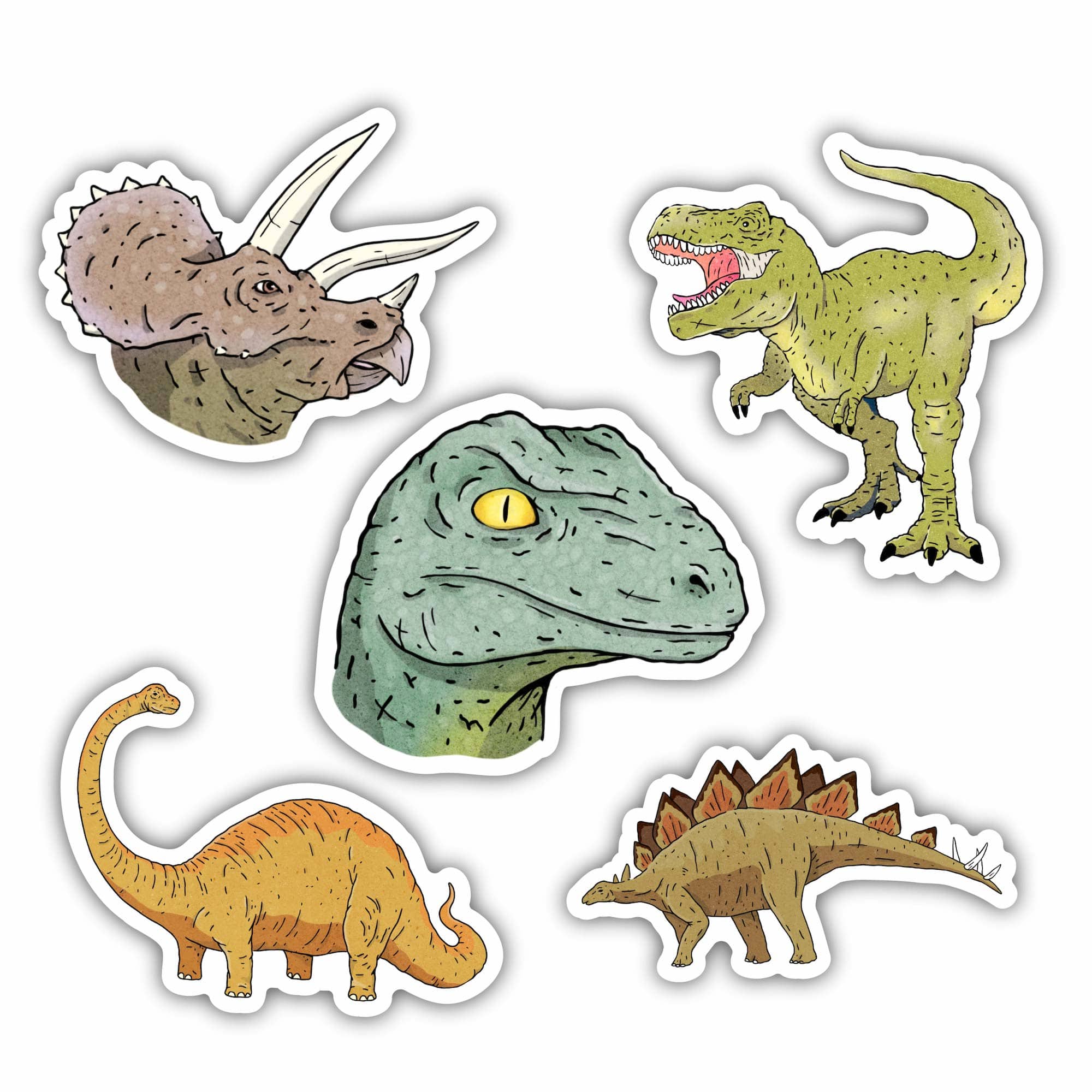  Dinosaur Stickers 5 Pack、mySite、ghnorth