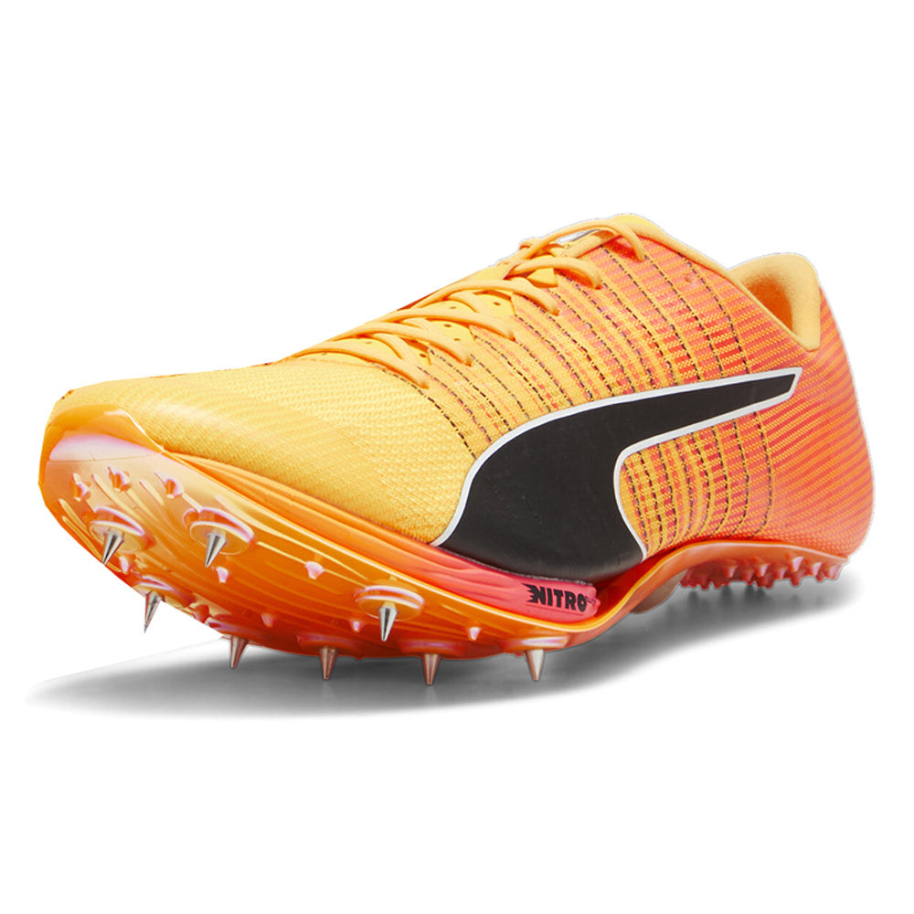 Evospeed Sprint Nitro 2 Running Shoes、mySite、gtrtttuynbv
