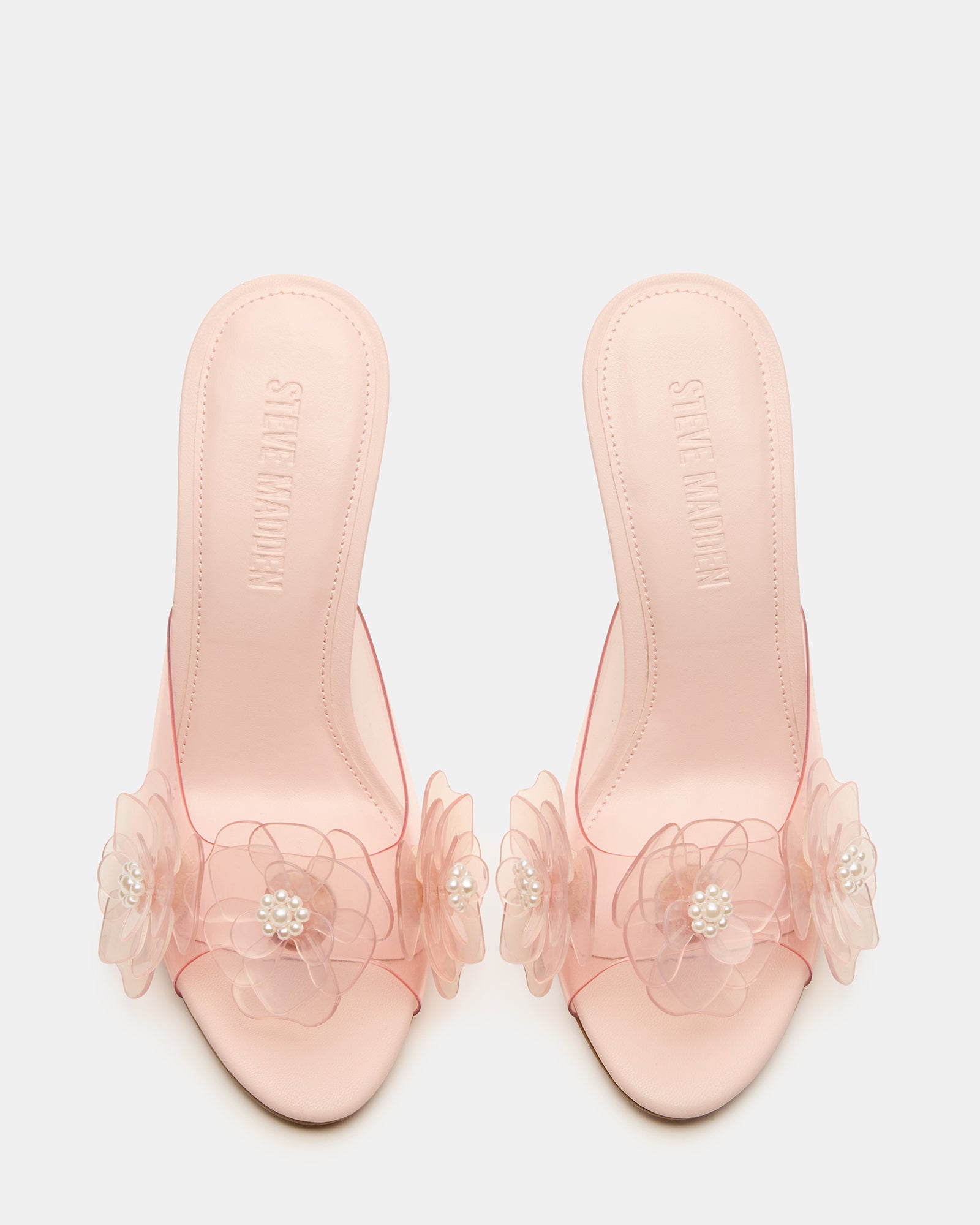 PETUNIA LIGHT PINK、mySite、gtrtttuynbv