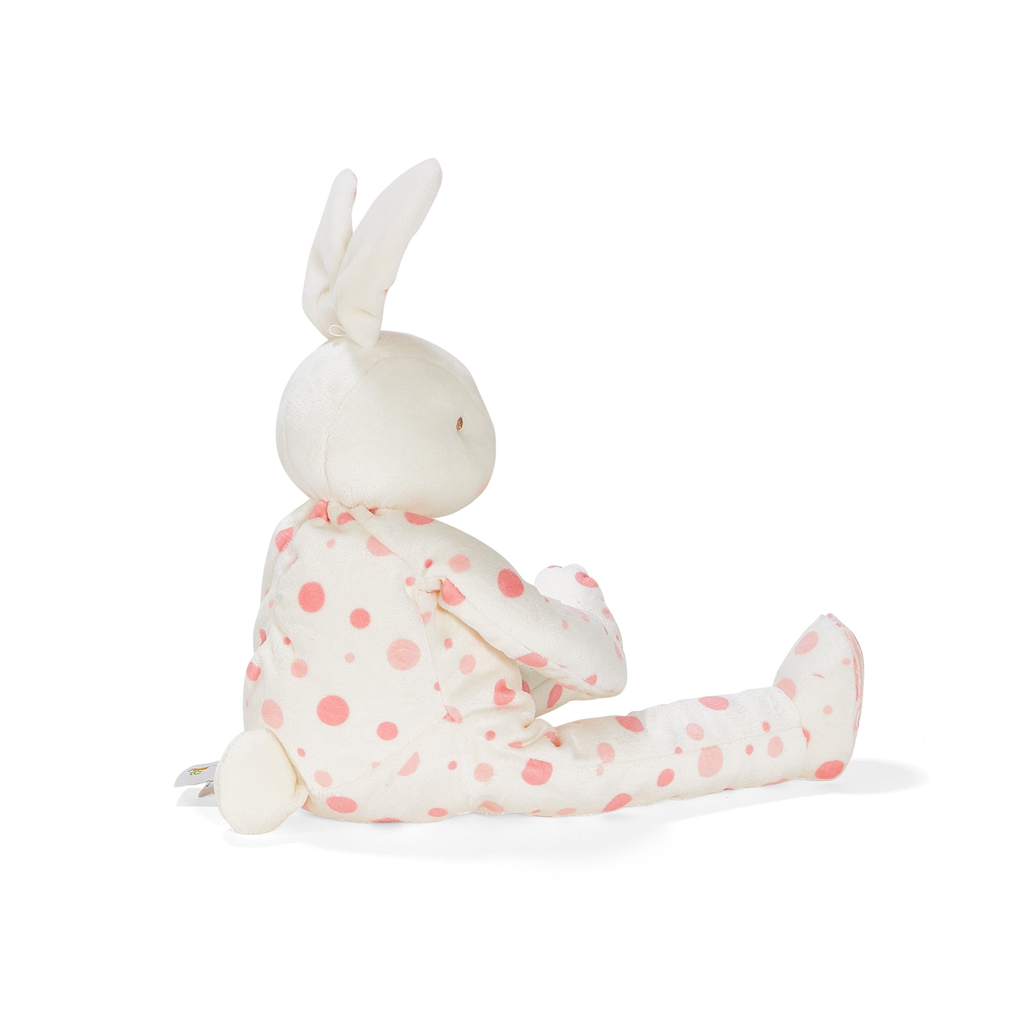 Big Blossom Buddy、mySite、g9winljtr