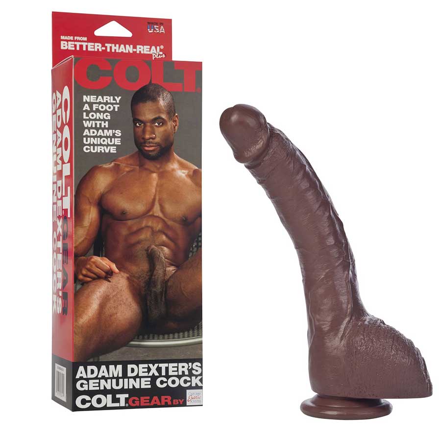 Adam Dexter's Real Cock Dildo by Colt、mySite、bottomscart
