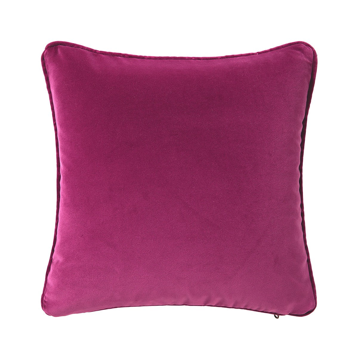  Iosis Divan Accent PIllow、mySite、elrpsem3k