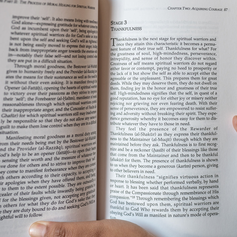 Moral Healing Through the Most Beautiful Names - The Practice of Spiritual Chivalry、mySite、topwebapps