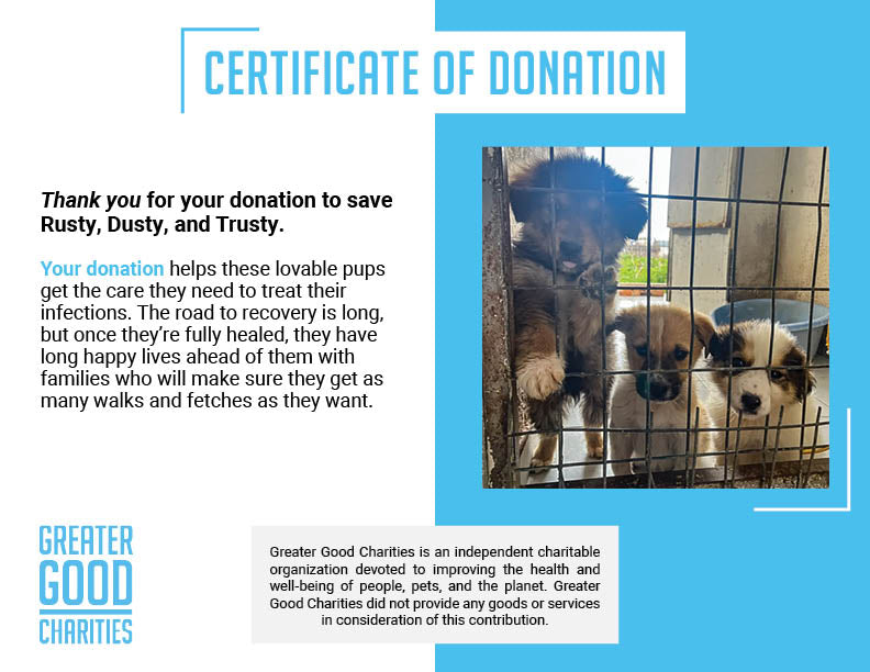 Funded: Help Rusty, Dusty, and Trusty Grow Up Healthy、mySite、camillekostekn