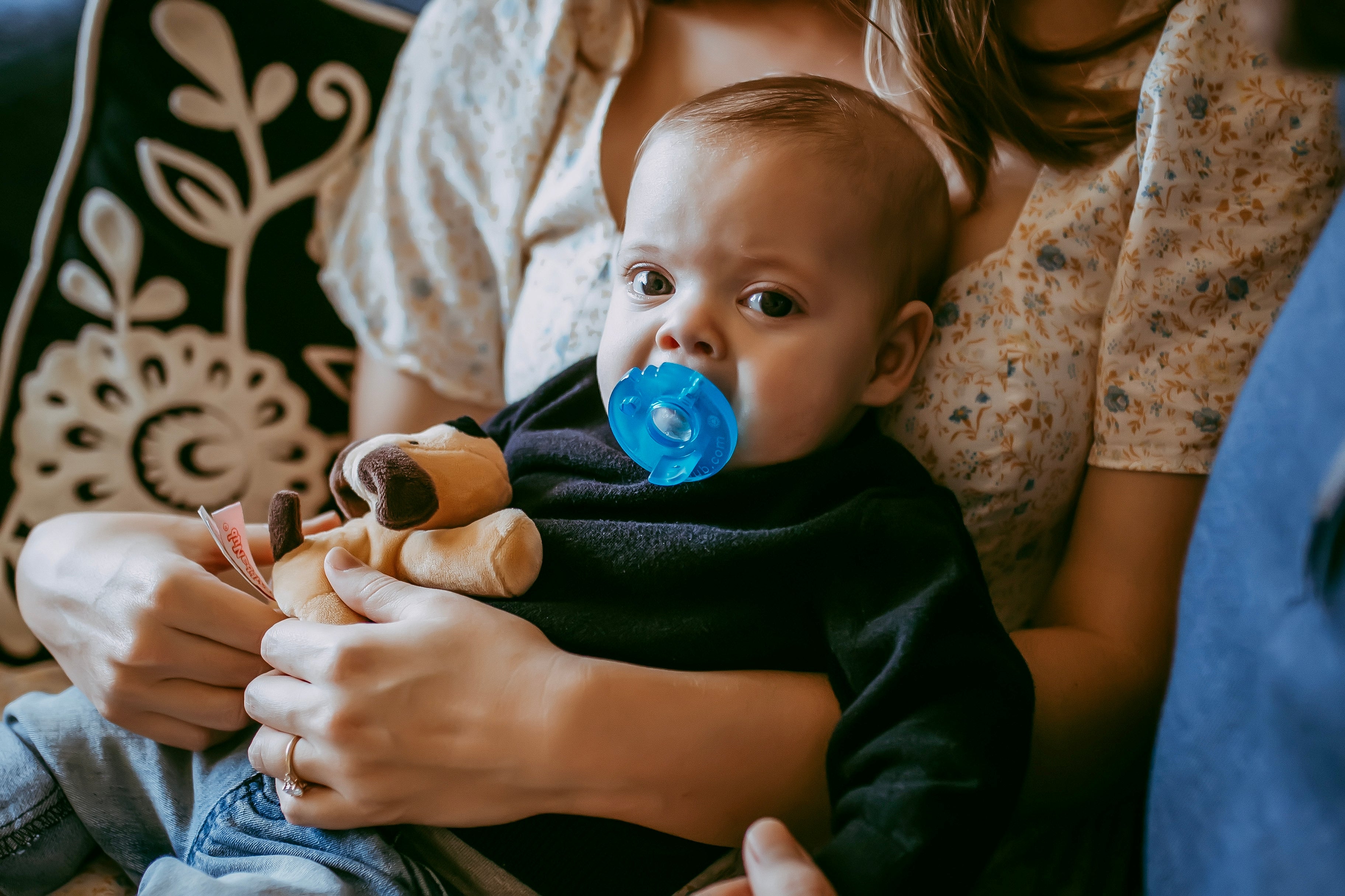 WubbaNub® - Detachable Brown Dog、mySite、g9winljtr