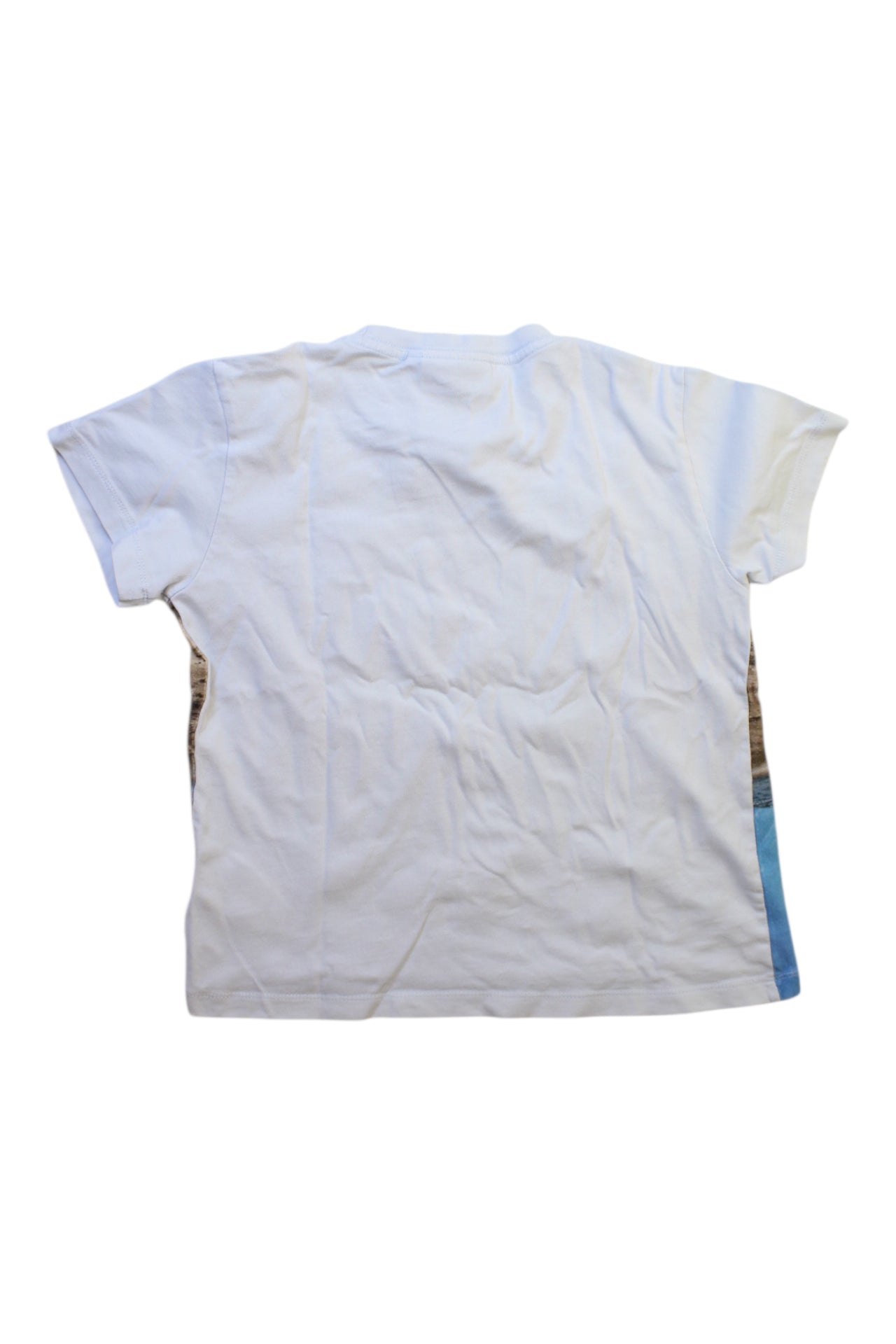 Molo Dinosaur Print T-Shirt 5T、mySite、g9winljtr