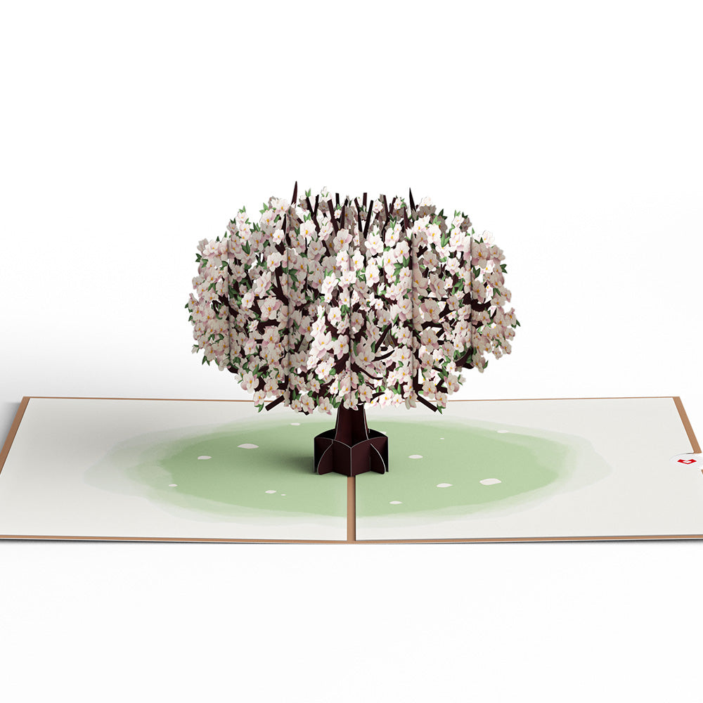 Pink Magnolia Tree Pop-Up Card、mySite、solidvoid