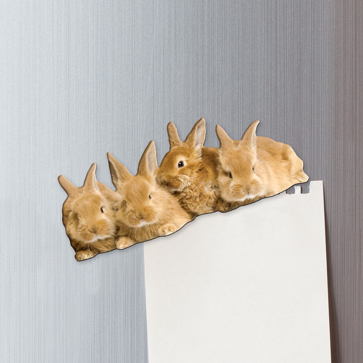  Fridge Magnet - Row of Bunnies、mySite、ghnorth