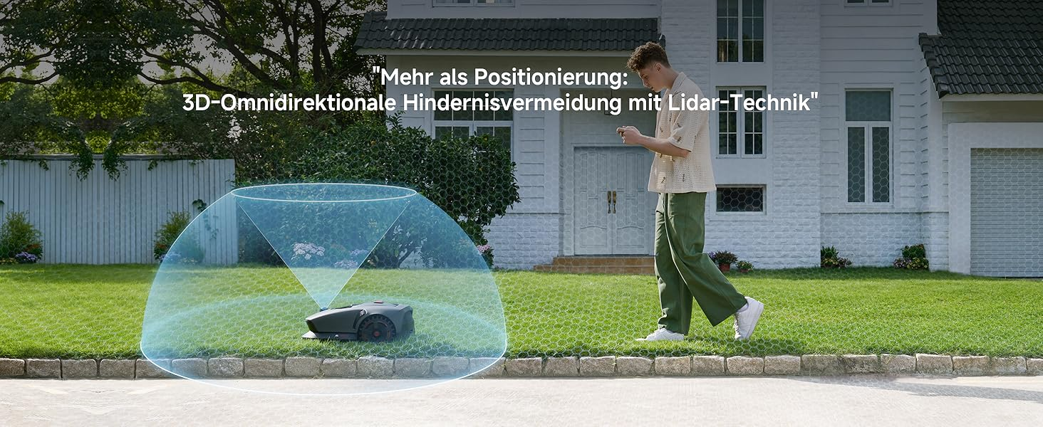 Pasted Image