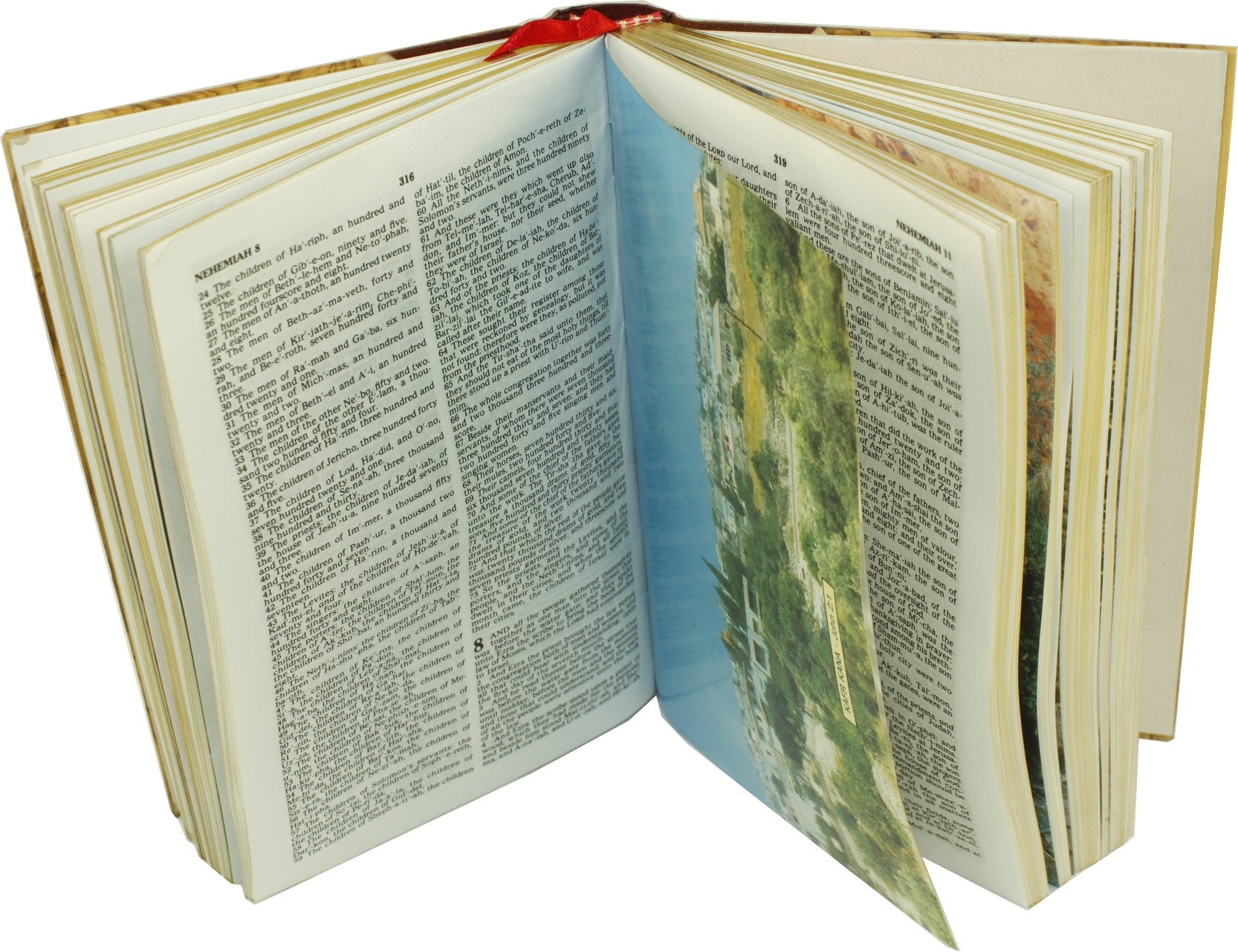 Holy Land Market Jerusalem Bible, Olive Wood Cover carved with the Last Supper/Crucifixion (English, 1094 pages)、mySite、topwebapps