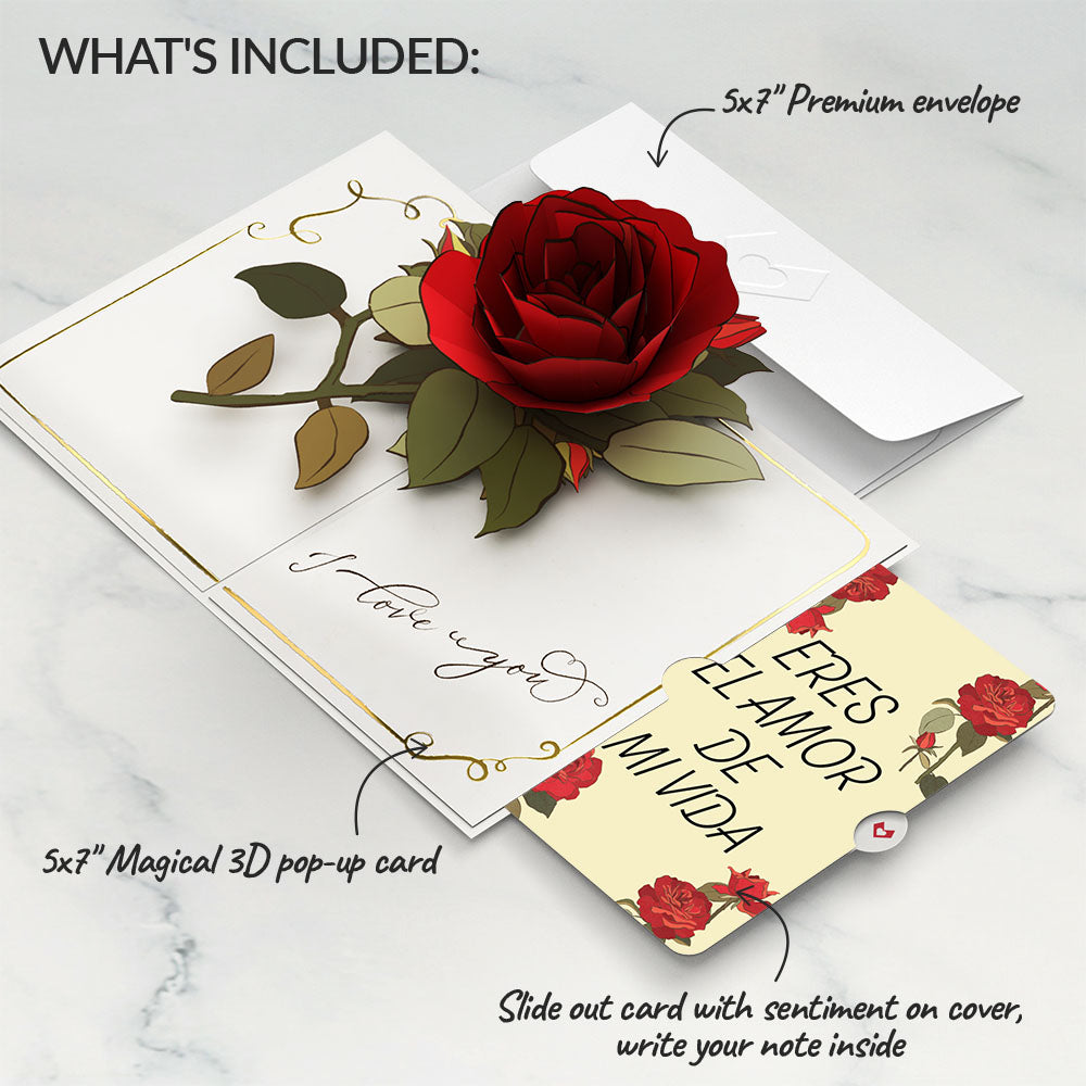 I Love You Roses Eres El Amor De Mi Vida Valentine Pop-Up Card and Sentiment Set、mySite、solidvoid