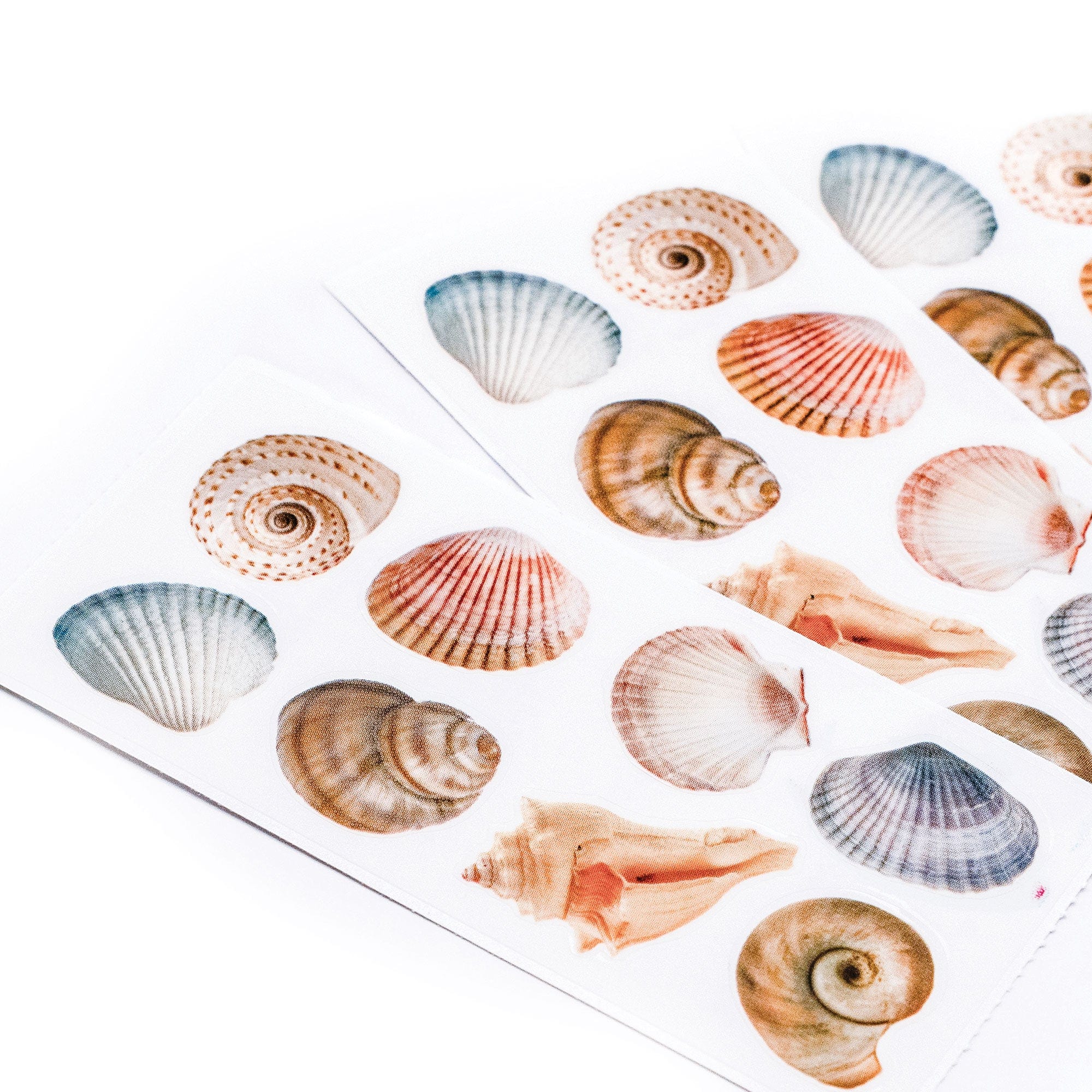  Decorative Stickers - Seashells、mySite、ghnorth