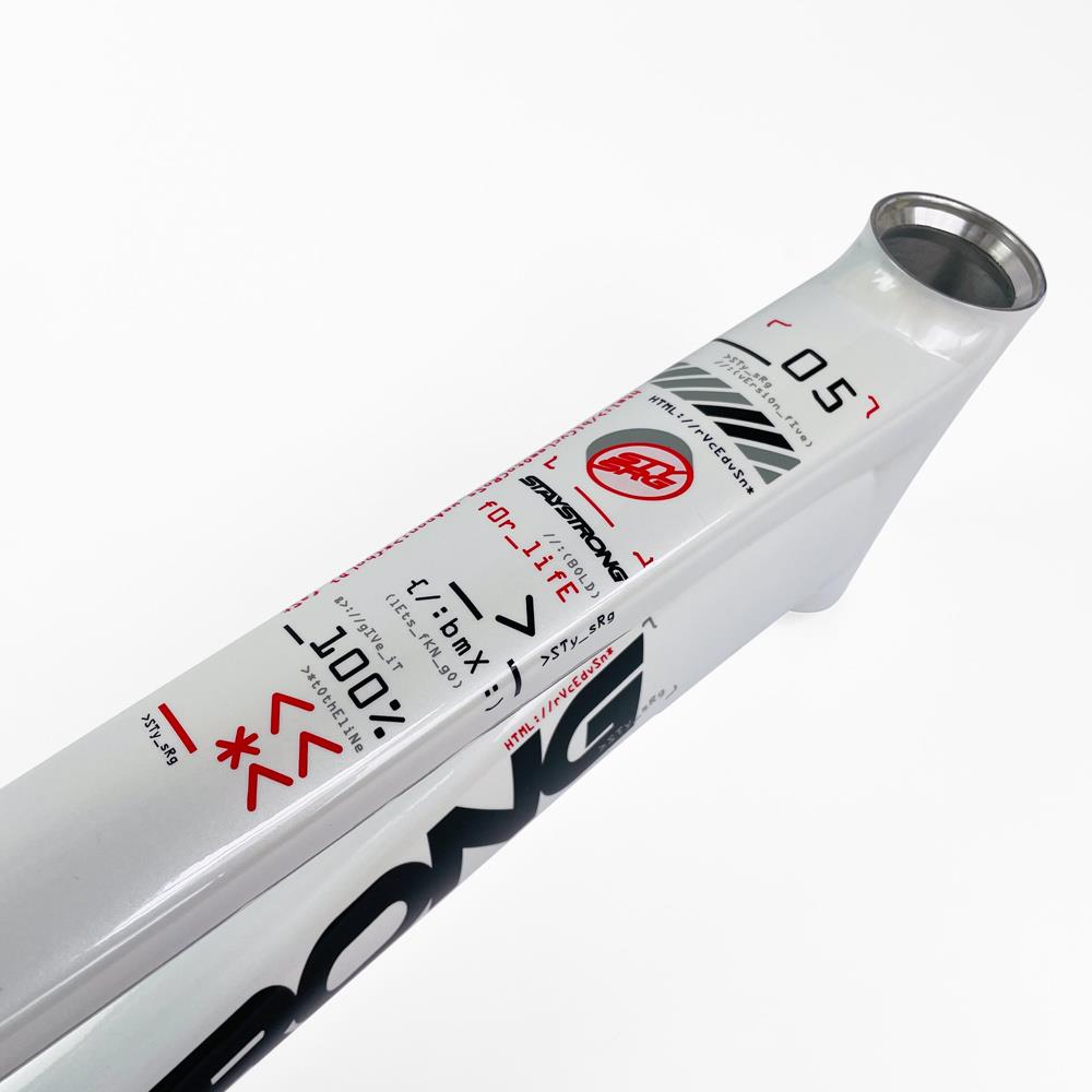  Stay Strong For Life 2024 V5 Mini Race Frame - Disc Version、mySite、merchandisen