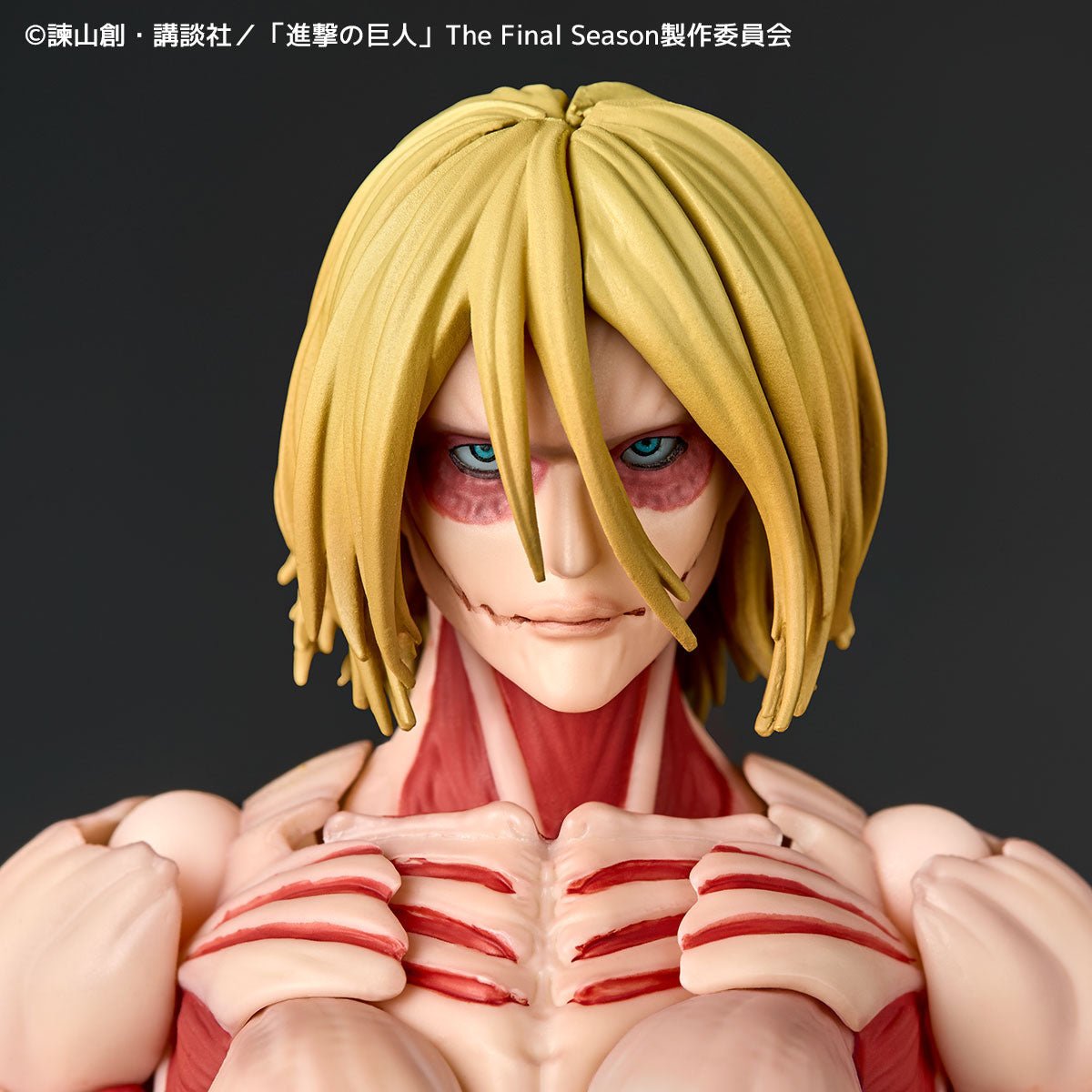 Amazing Yamaguchi Revoltech NR068 Female Titan (Annie Lockhart)、mySite、hgirdovlk