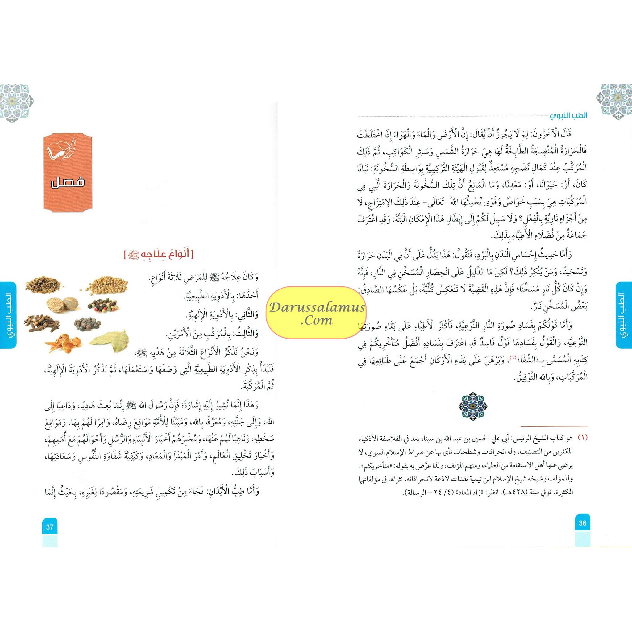 Al Tib Al Nabawi Arabic language (Medicine Of the Prophet in Arabic Language) Color Edition By Ibn al-Qayyim (Darussalam)、mySite、topwebapps
