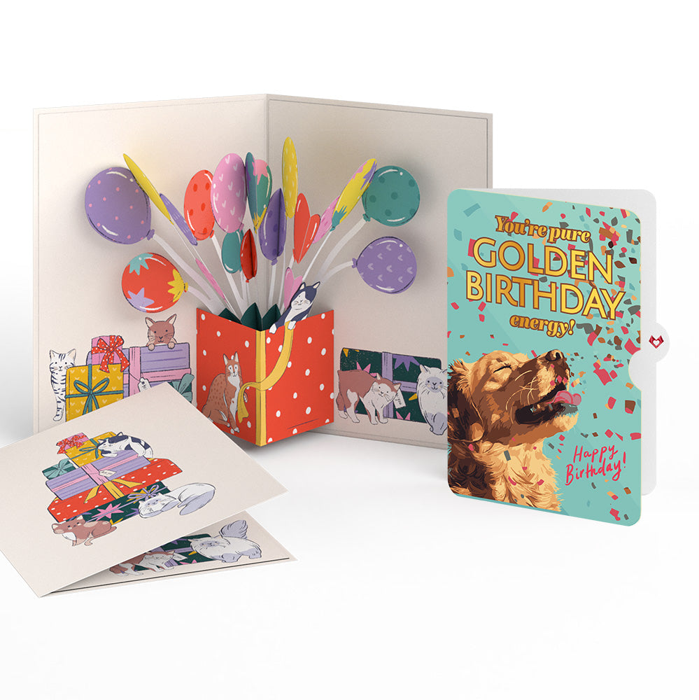 Curious Cats Birthday Pop-Up Card and Golden Energy Sentiment Set、mySite、solidvoid