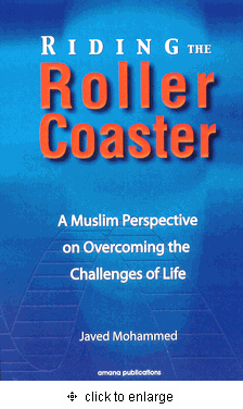 Riding the Roller Coaster: A Muslim Perspective on Overcoming the Challenges of Life、mySite、topwebapps