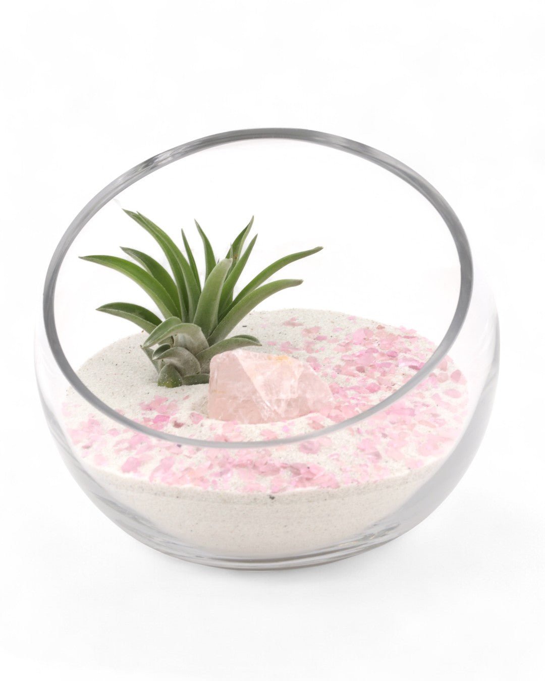 Rose Quartz Gemstone Crystal Terrarium、mySite、topwebapps
