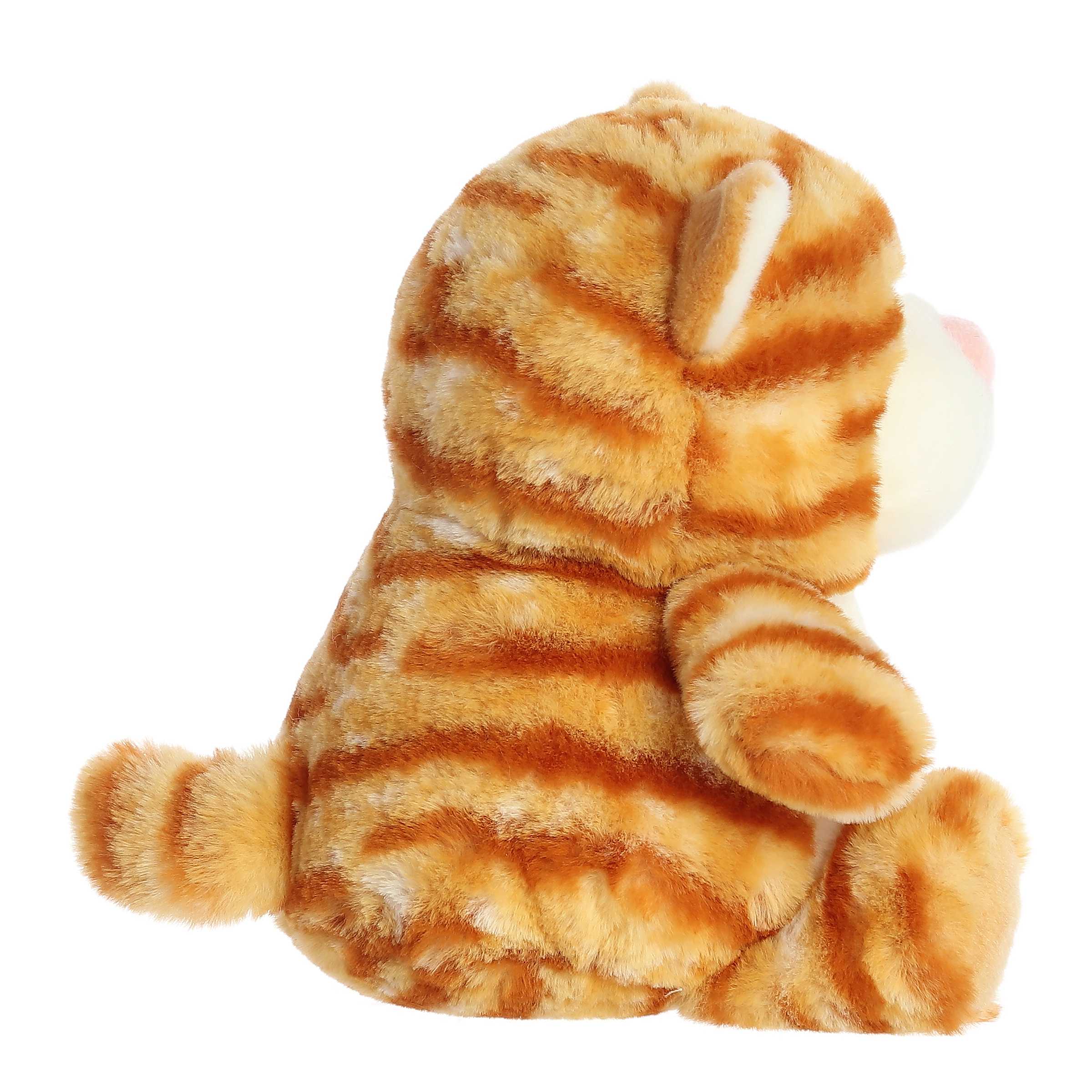 Aurora® - Stubez™ - 11 Trix Cat™、mySite、g9winljtr