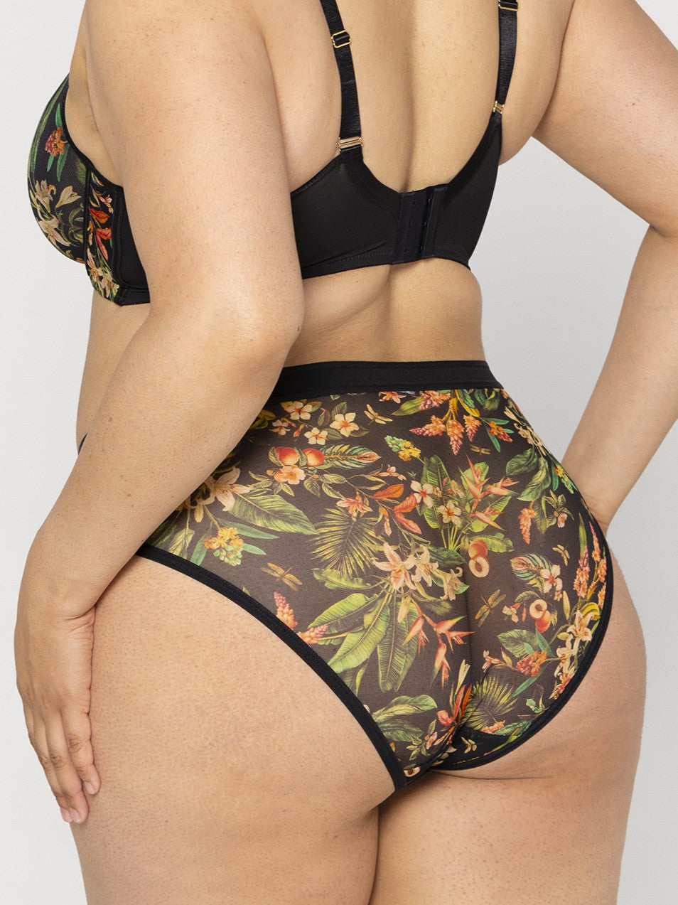  Sheer mesh brief Dragonfly、mySite、sugarbowlscore