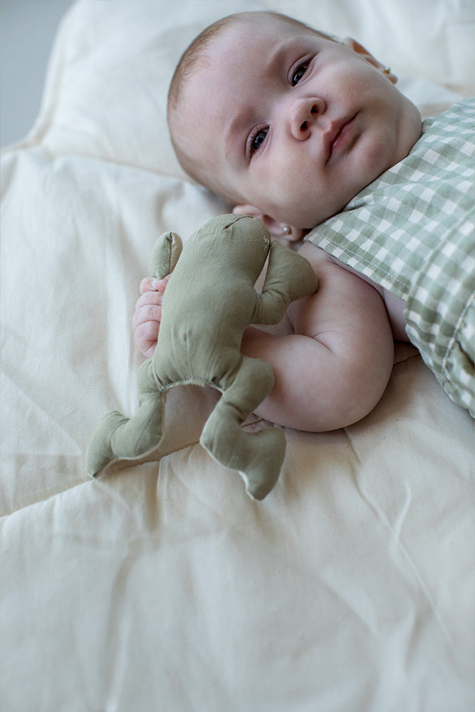 LILY POND GIFT SET、mySite、gigharbornorthrealestate