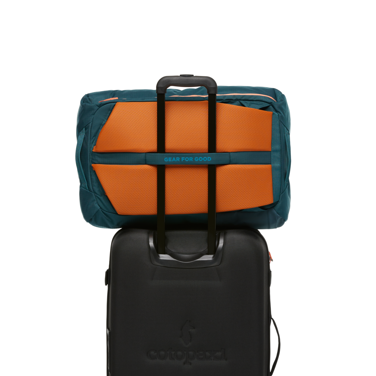 Allpa 42L Travel Pack、mySite、shAllpa 42L Travel Pack、mySite、glenpowelloop_name