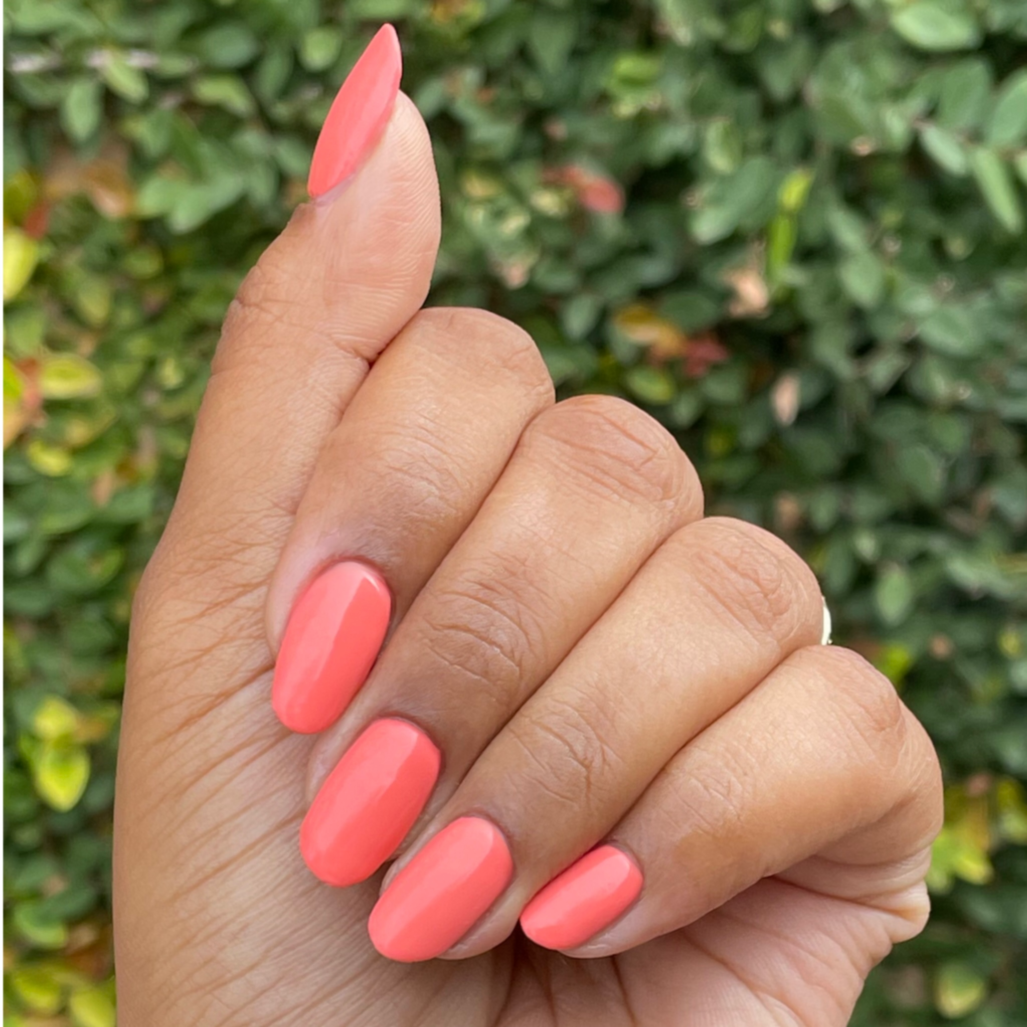 Ride into the Sunset、mySite、solidvoid