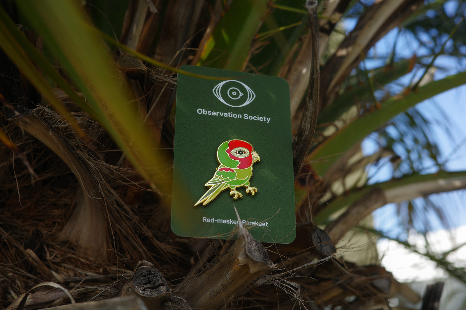 Observation Society - Red Masked Parakeet-Pin、mySite、garagedoors4me