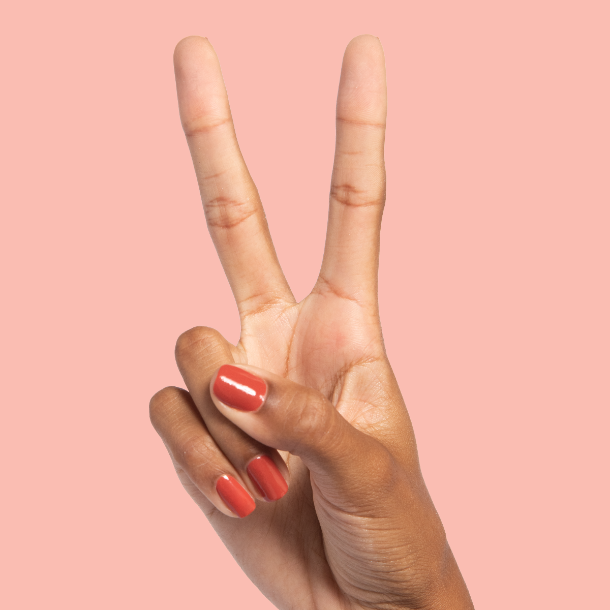 Southwest、mySite、solidvoid