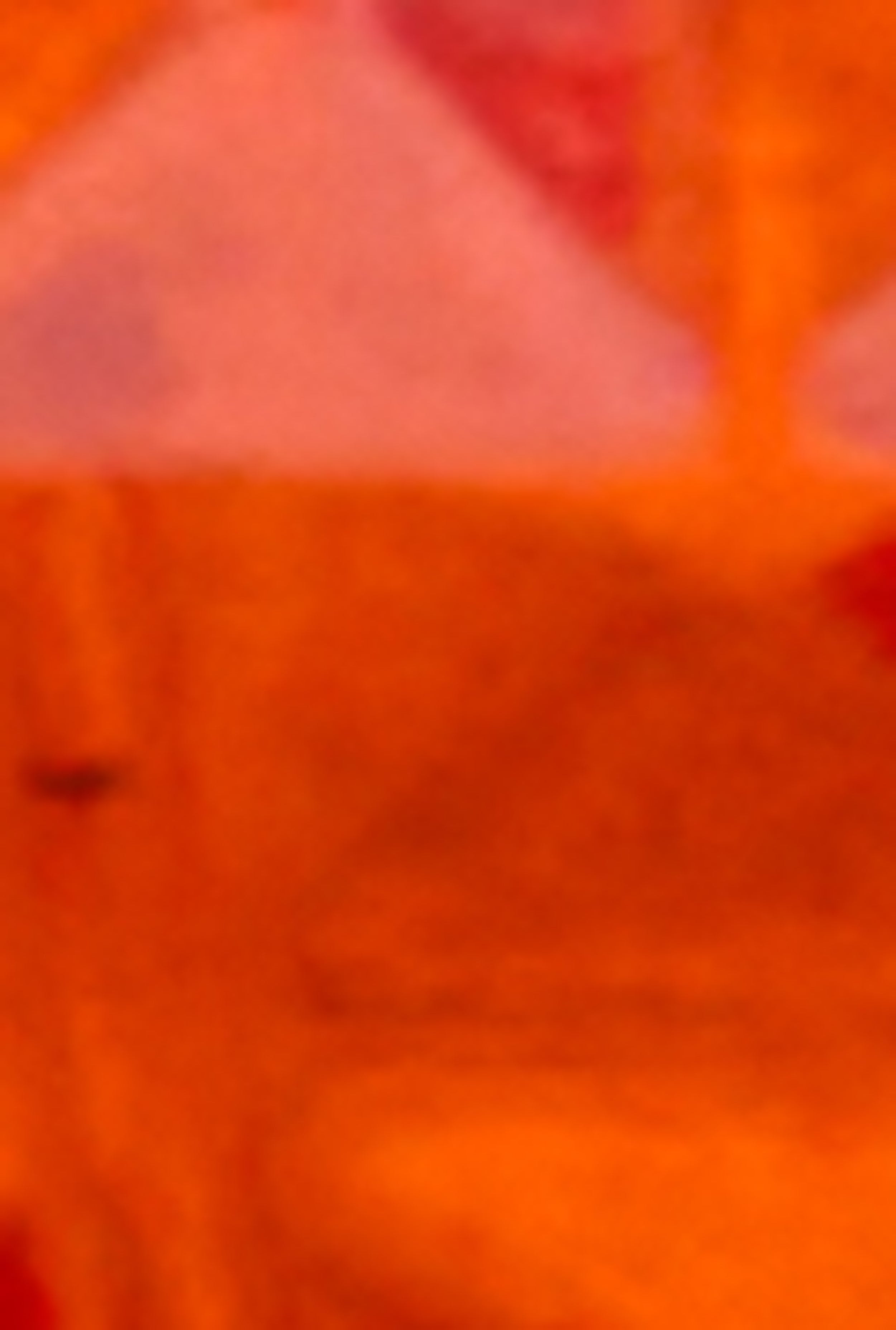 Voyage Fierce Perfume、mySite、camillekostekn