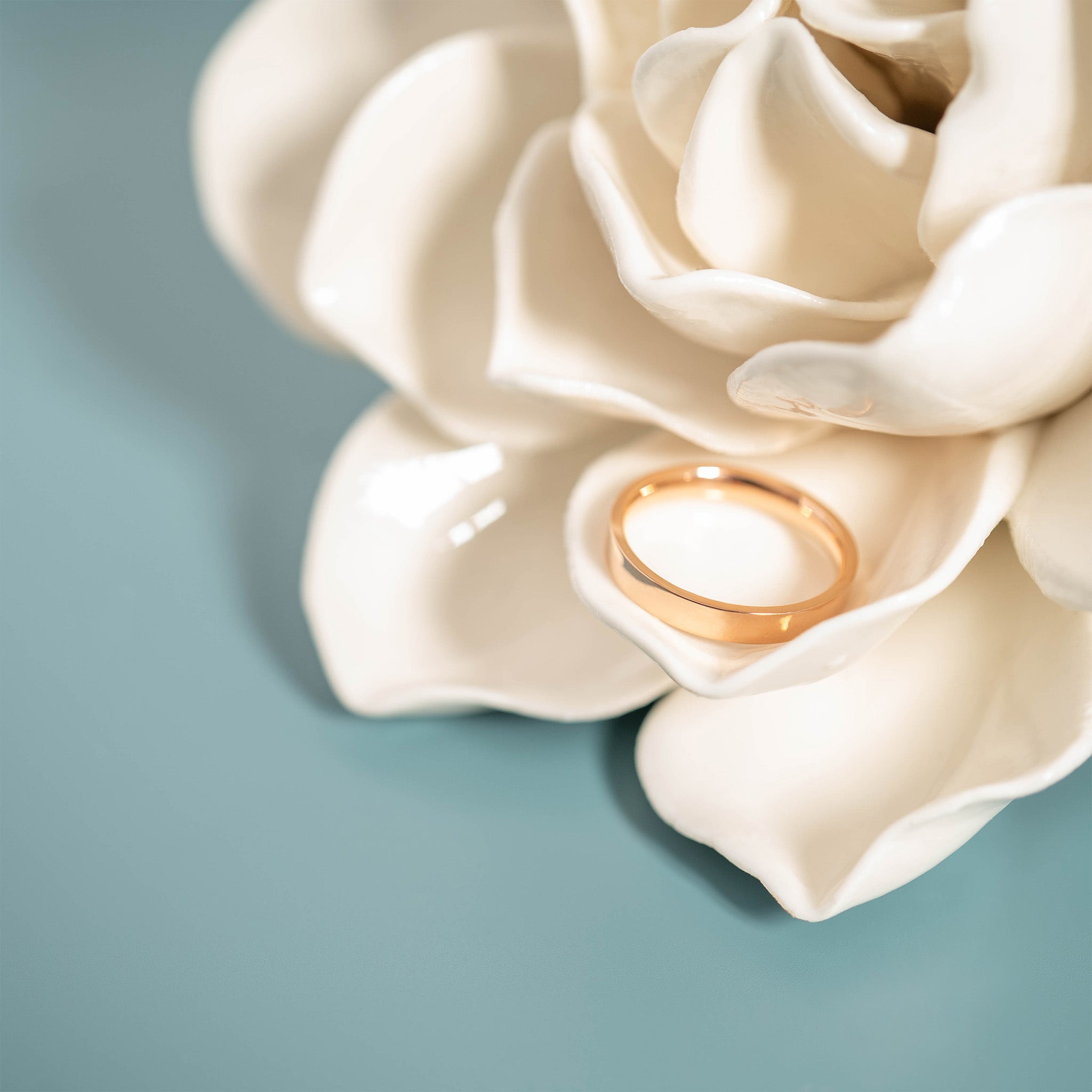 18K Rose Gold PVD Stainless Steel Flat Ring / CFR8024、mySite、dreamappss