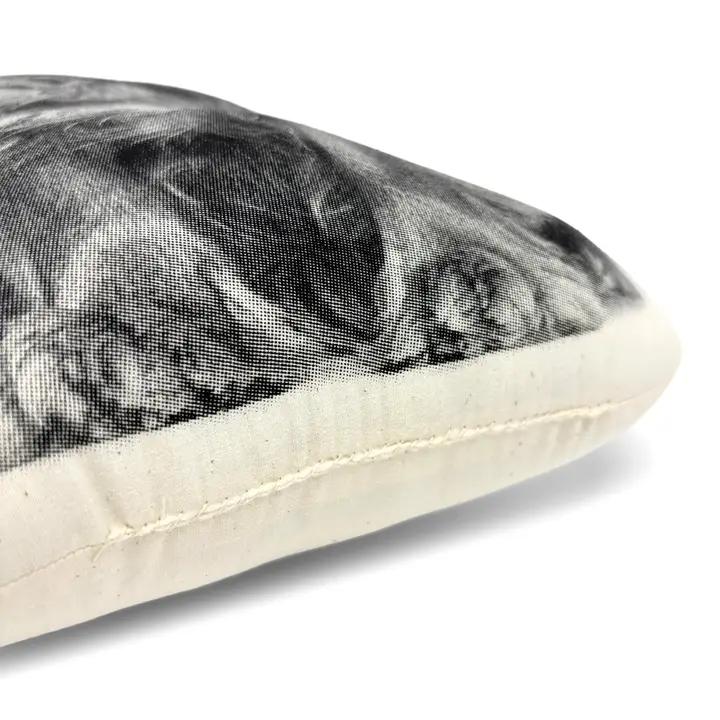 Cavalier King Charles Spaniel Pillow、mySite、g9winljtr