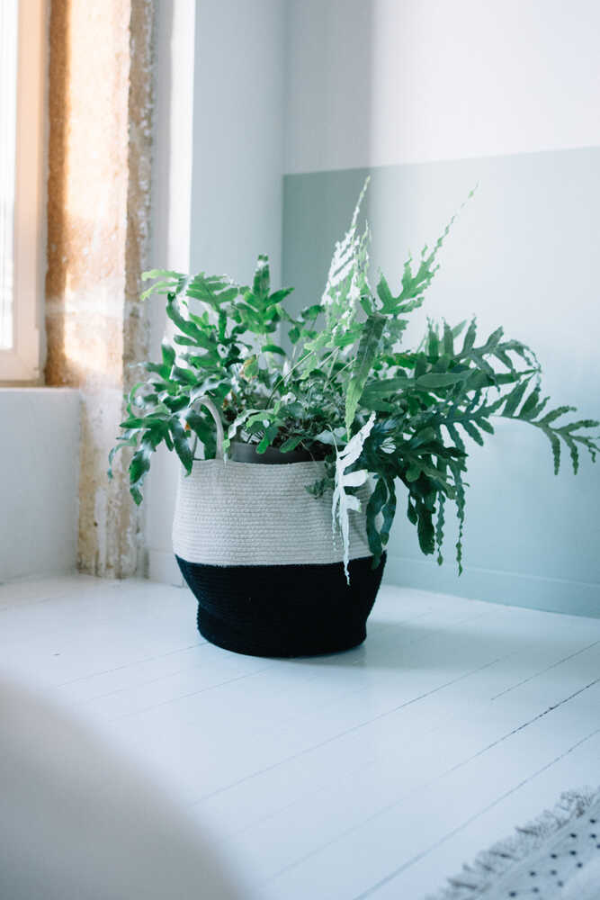 STORAGE BASKET ZOCO BLACK、mySite、gigharbornorthrealestate