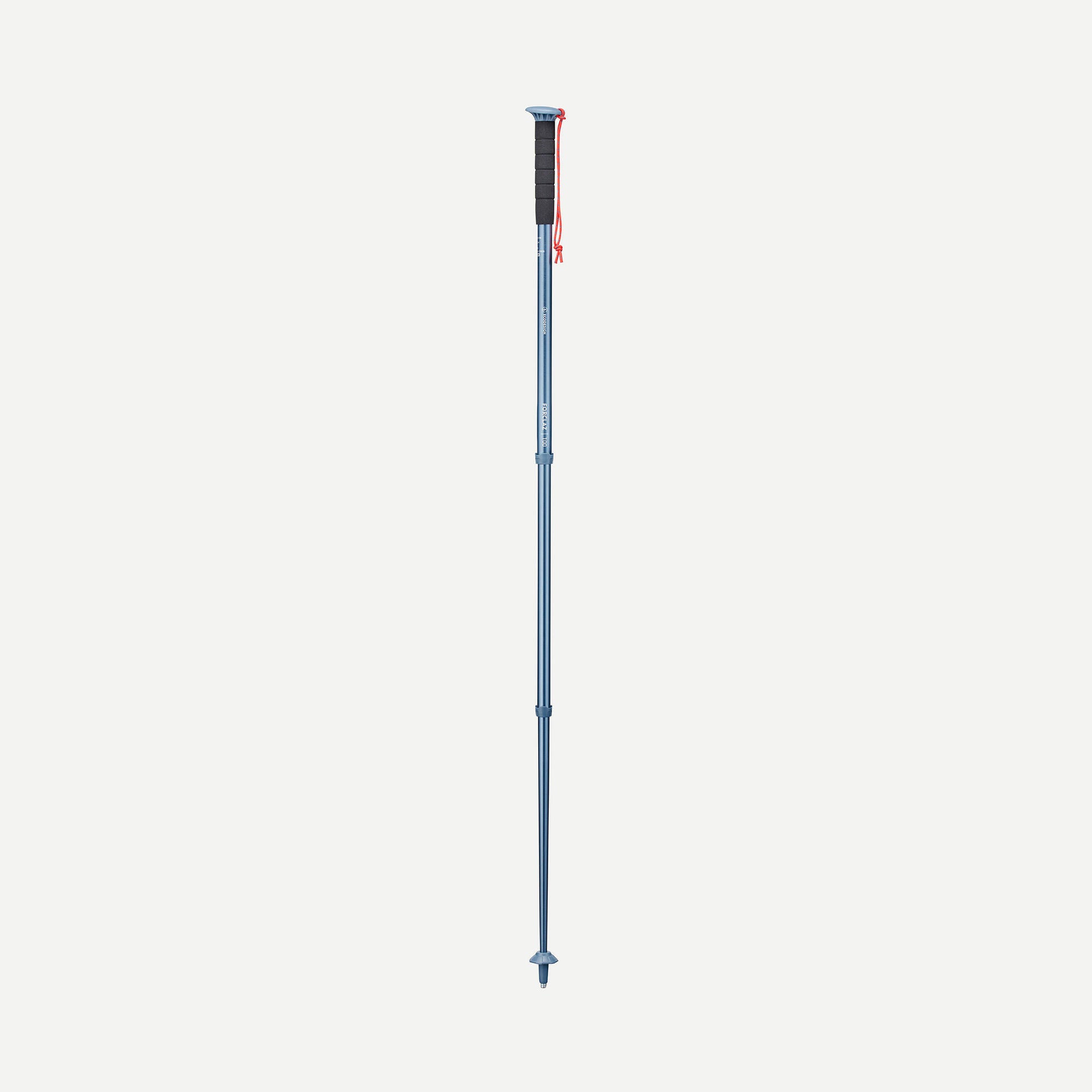 Forclaz MT100 Hiking Pole (Single Pole)、mySite、shForclaz MT100 Hiking Pole (Single Pole)、mySite、glenpowelloop_name