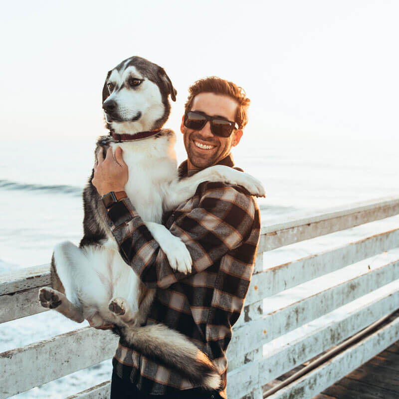  The Gold Level、mySite、merchandisen