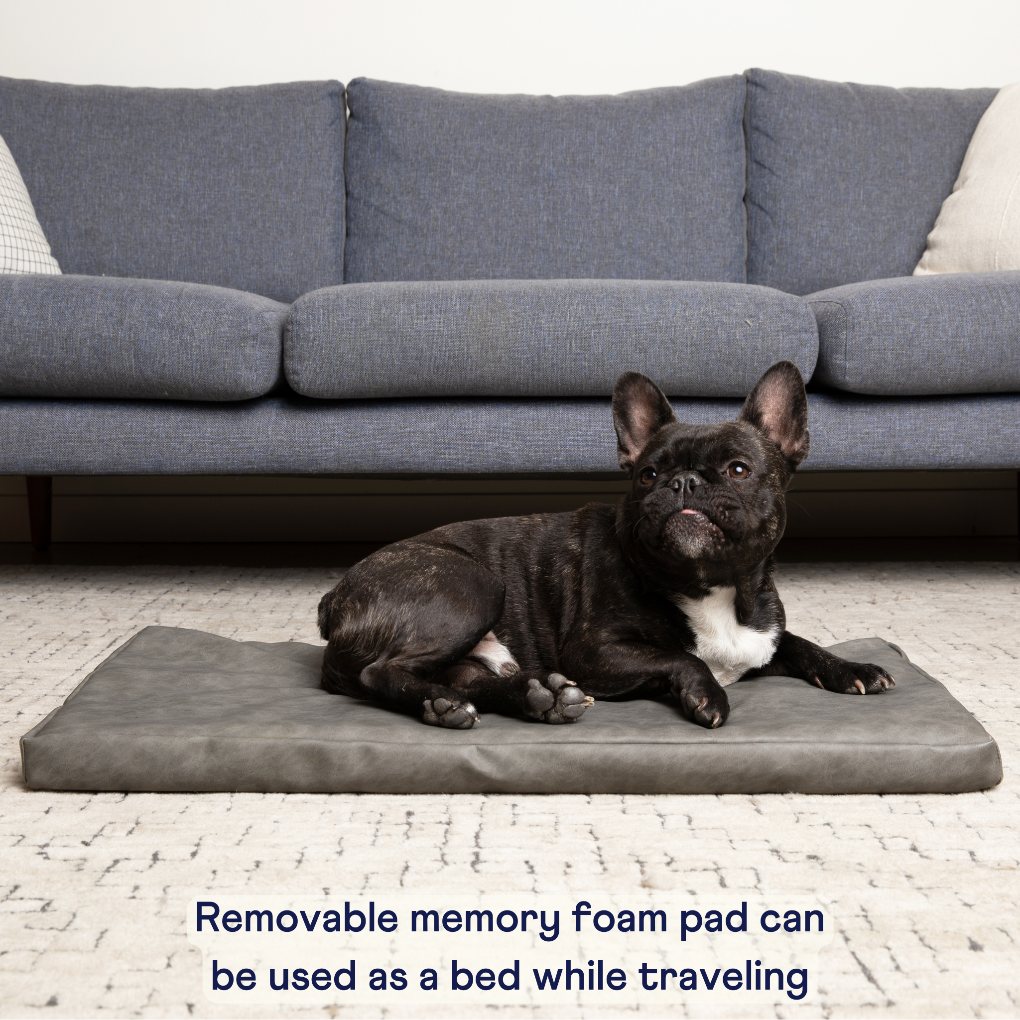 PupProtector™ Faux Leather Memory Foam Dog Car Bed - Slate Gray、mySite、solidvoid