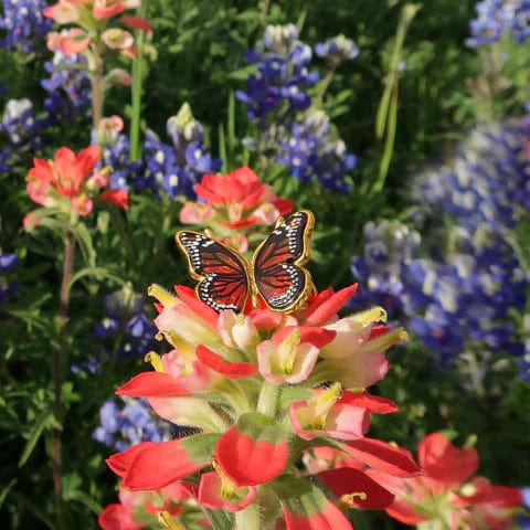 Monarch Baltic Amber Sterling SIlver Ring Handmade、mySite、g9winljtr