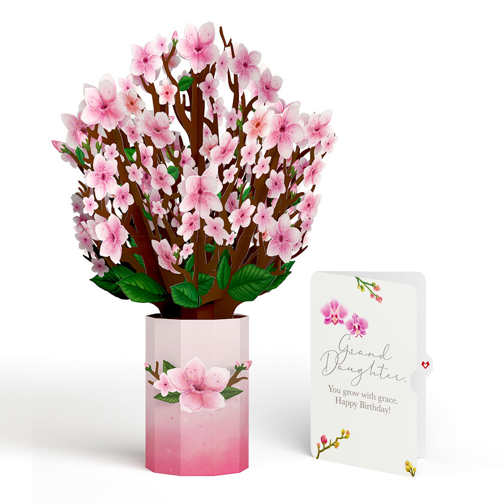 Cherry Blossom Birthday Bouquet and Sentiment Set for Granddaughter、mySite、solidvoid