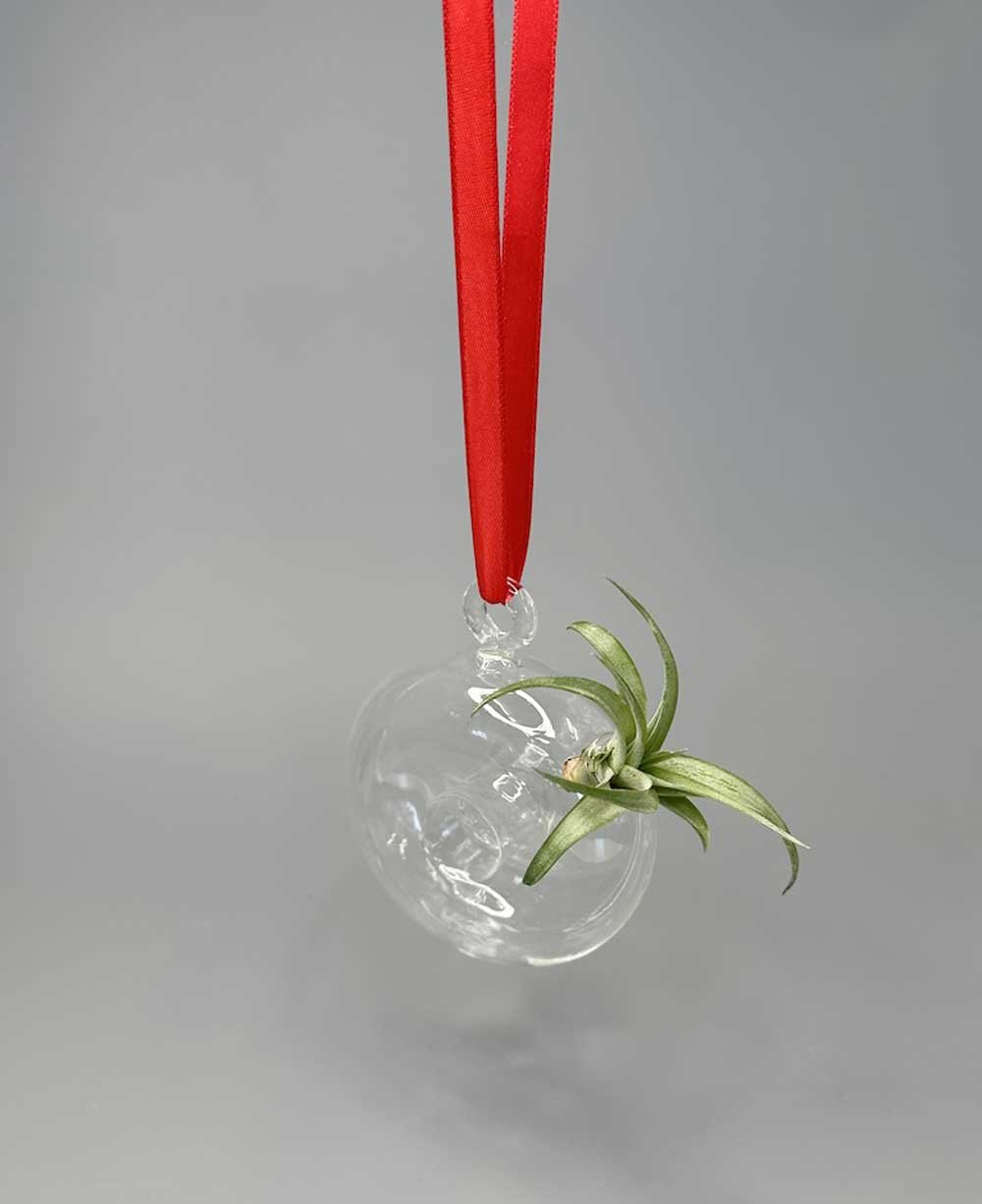 Set of 3 Hanging Glass Donut Vases、mySite、topwebapps