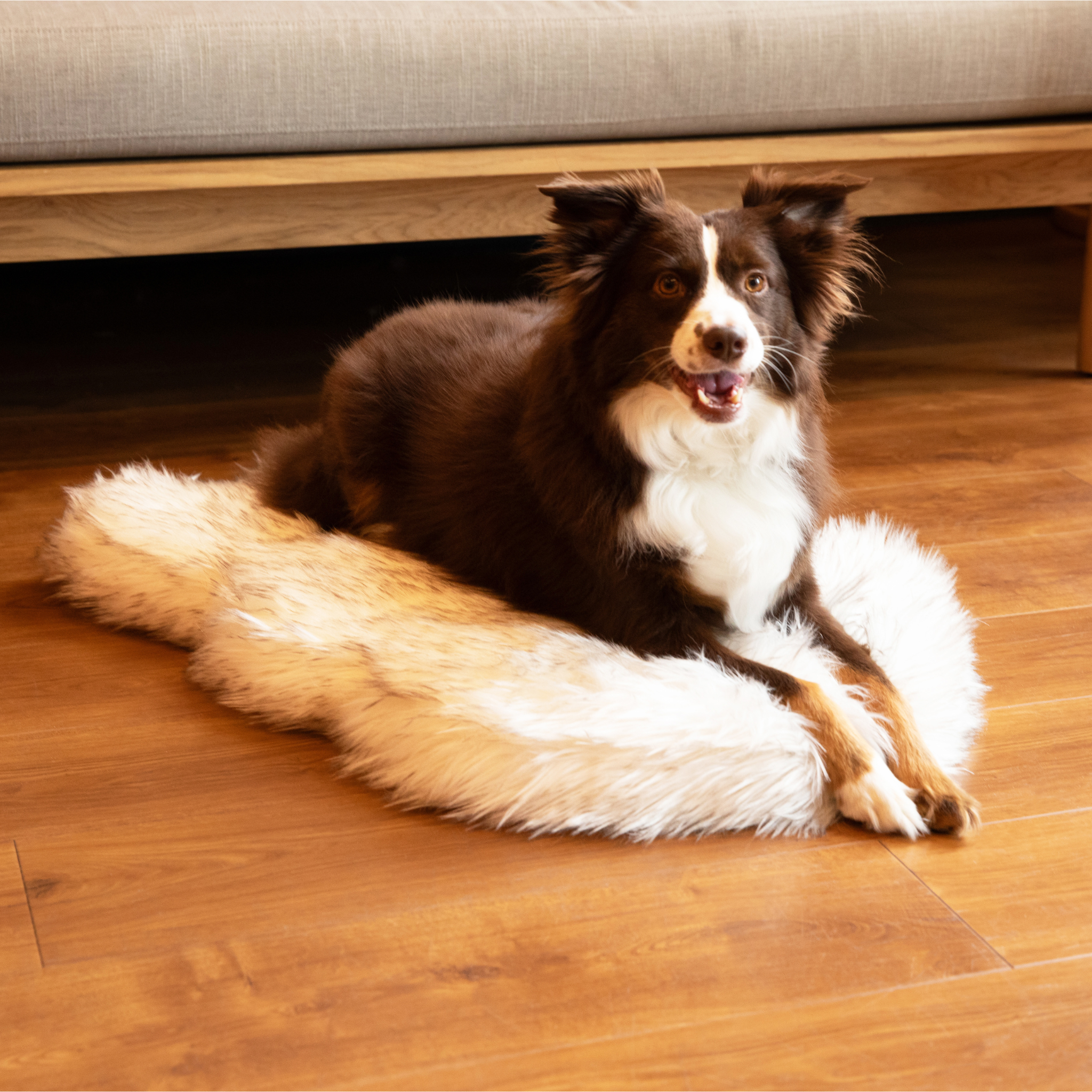 PupRug by Paw.com™ Faux Fur Orthopedic Dog Bed - Curve White with Brown Accents、mySite、solidvoid