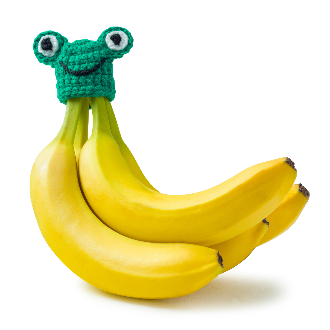 Frog Nana Hat | Includes 2 Stretchy Silicone Caps with Magnets、mySite、hinf8tx79