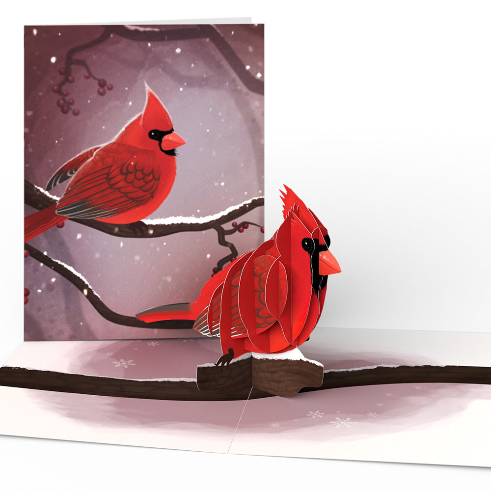 Winter Bird Box Set (Assorted 12-Pack): Paperpop® Card、mySite、solidvoid