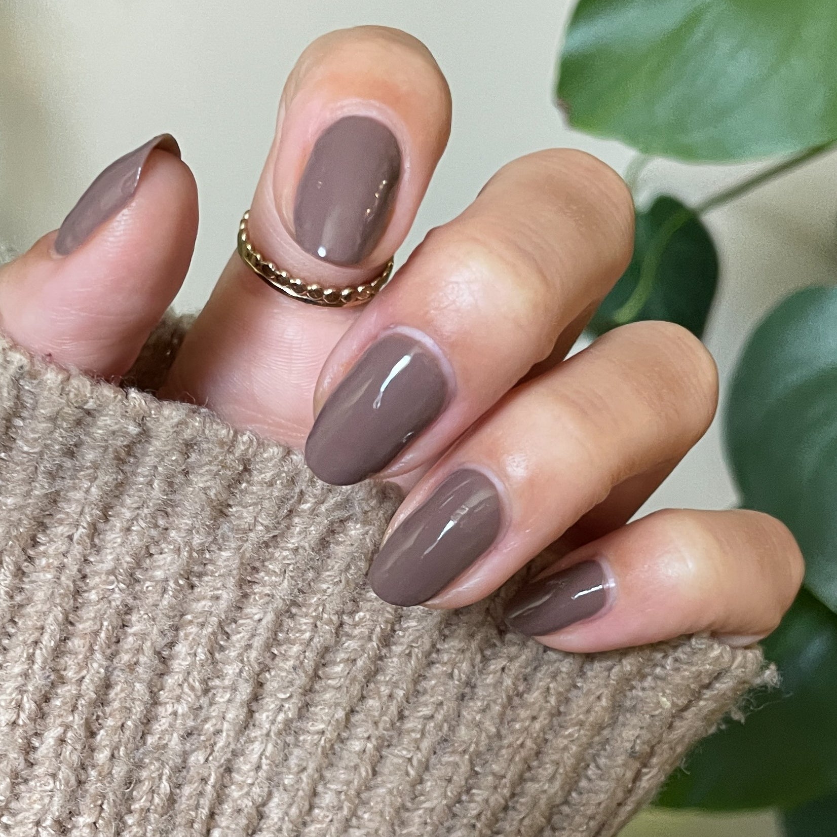 Fawn、mySite、solidvoid