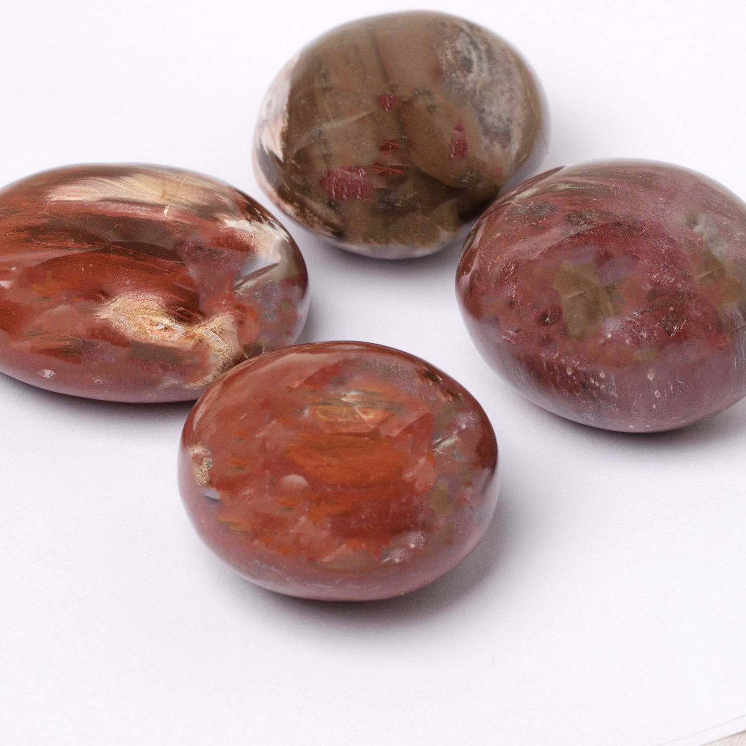 Petrified Wood Palm Stones - AAA Premium Quality、mySite、hinf8tx79