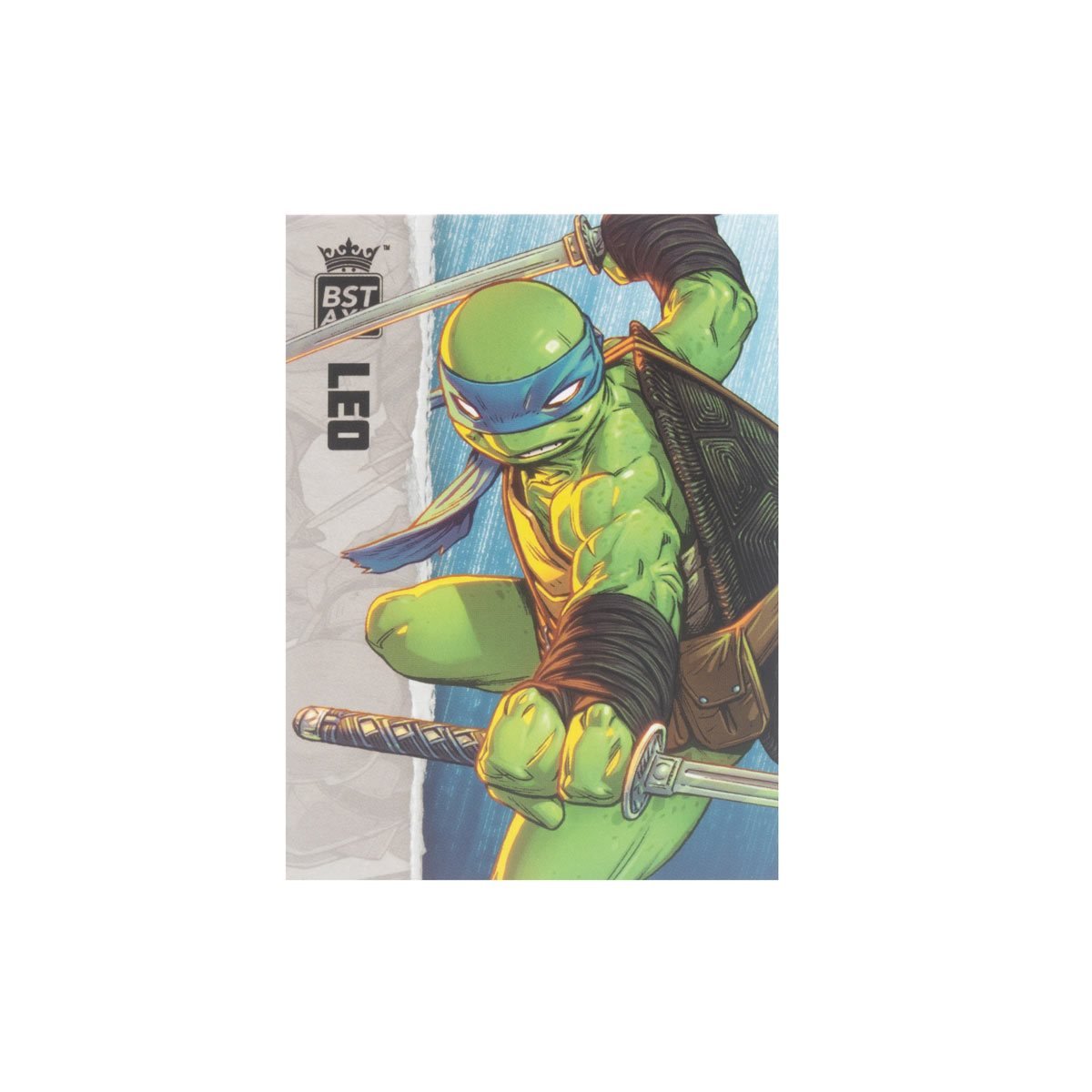 Teenage Mutant Ninja Turtles BST AXN IDW Comic Leonardo、mySite、hgirdovlk