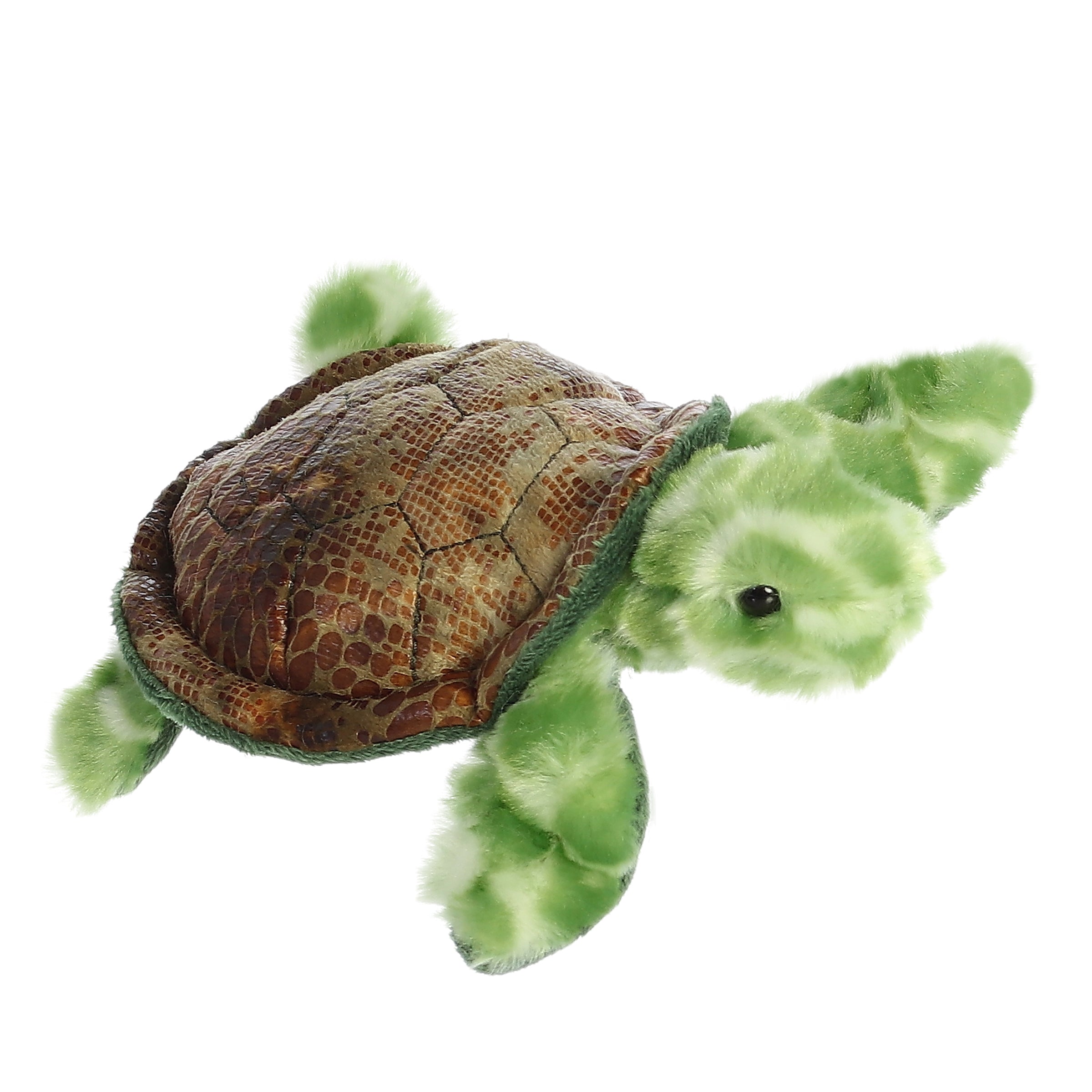 Aurora® - Mini Flopsie™ - 8 Splish Sea Turtle™、mySite、g9winljtr