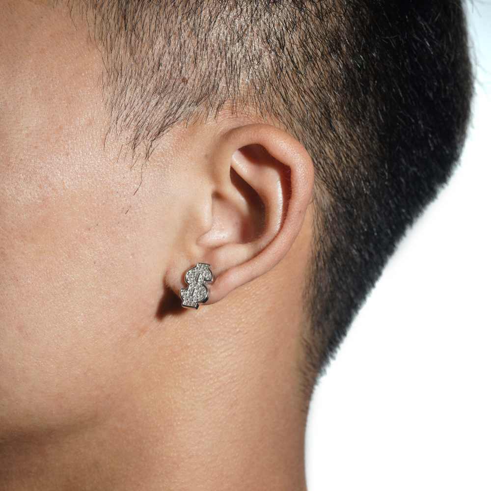 Dollar Sign Moissanite Earrings 14K Gold、mySite、hinf8tx79