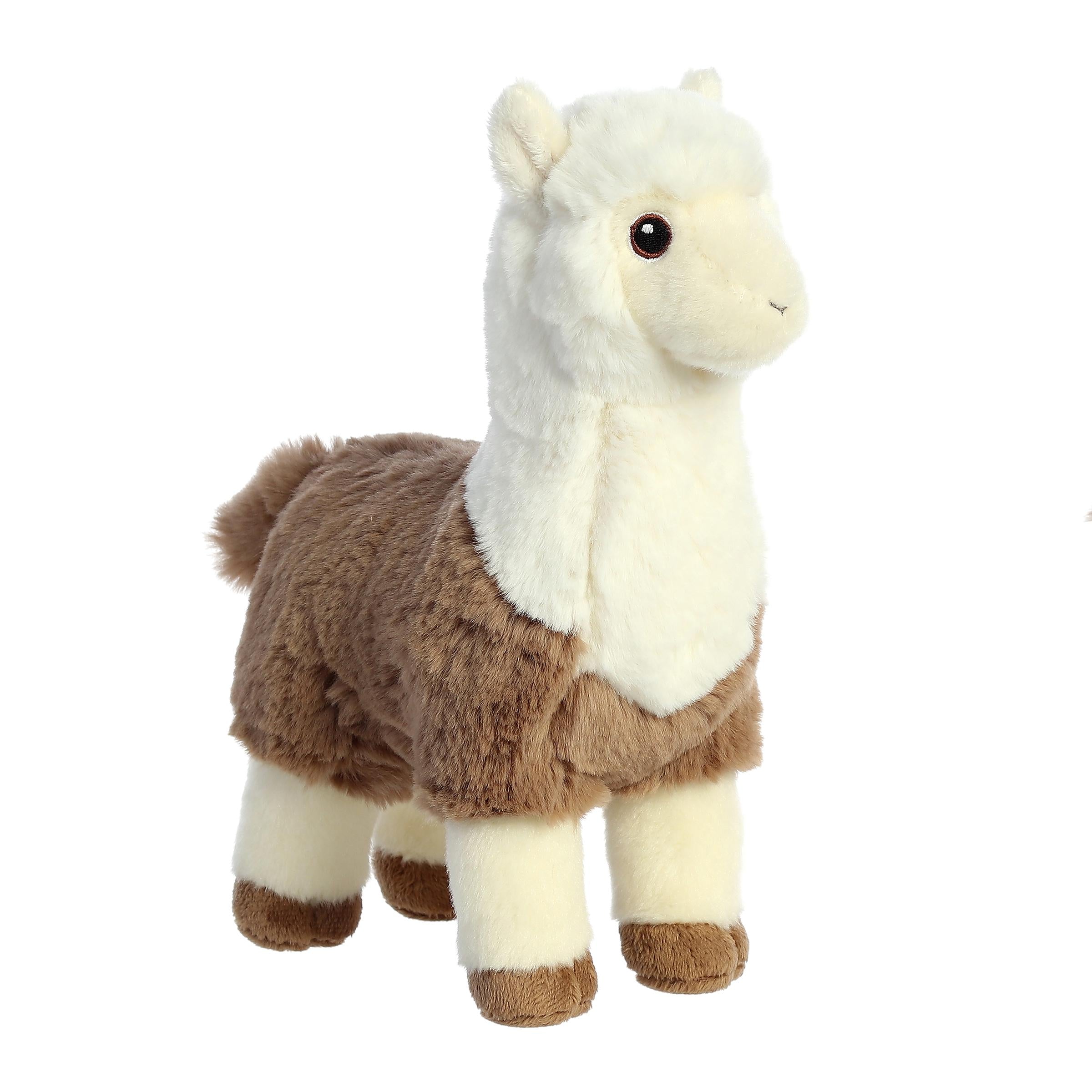 Aurora® - Eco Nation™ - 11 Two -Tone Alpaca、mySite、g9winljtr